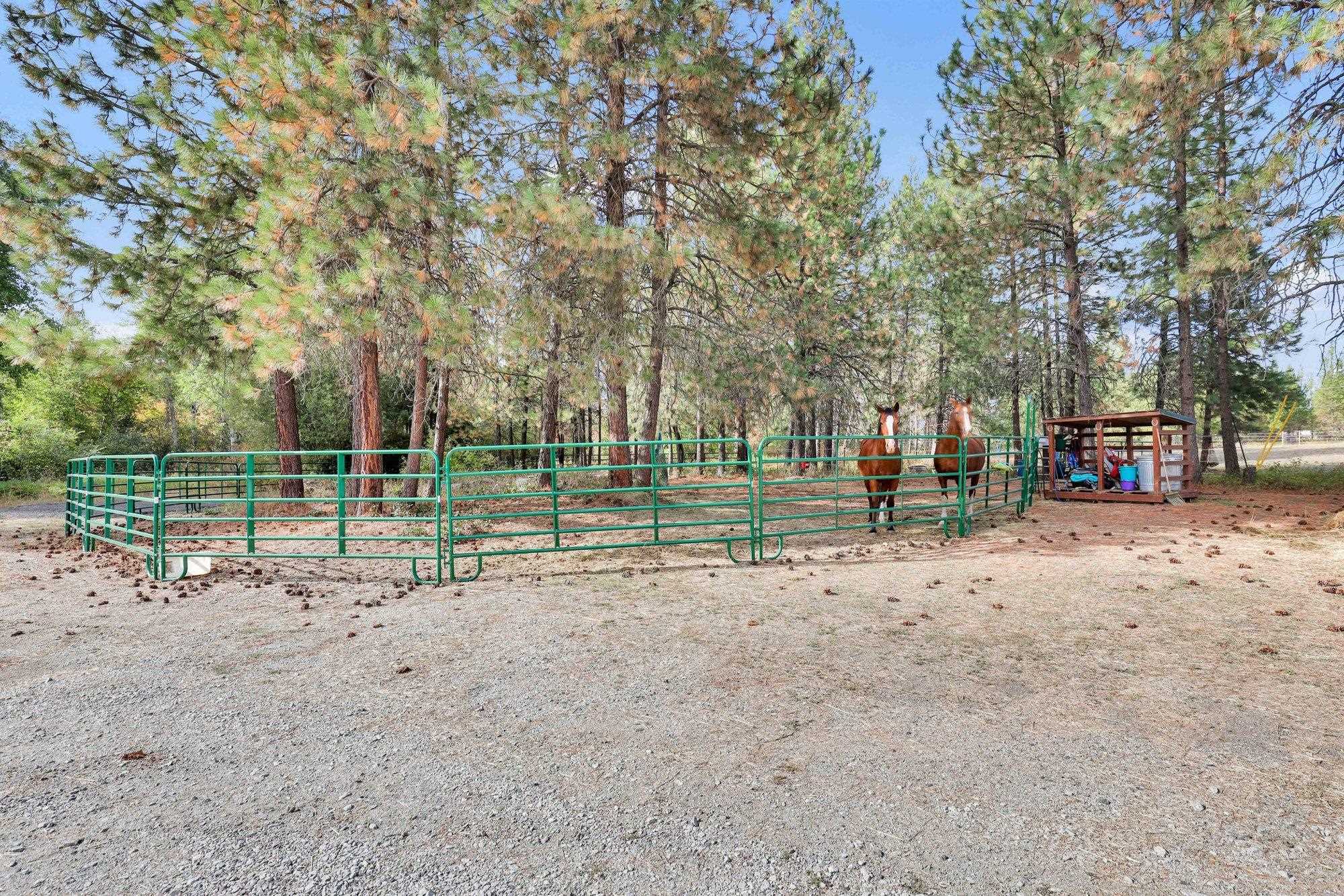 38911 N Newport Hwy - Photo 31