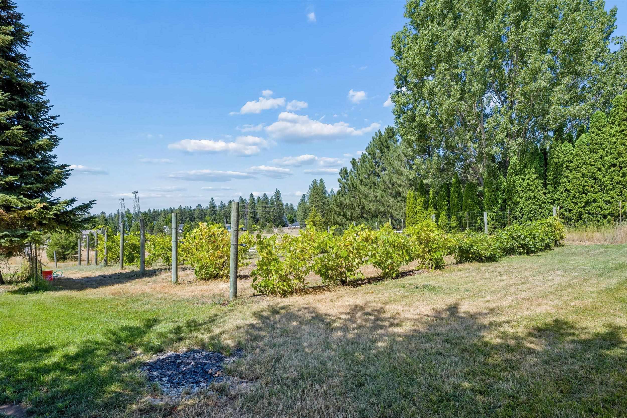 5611 E Nancy Ln - Photo 42