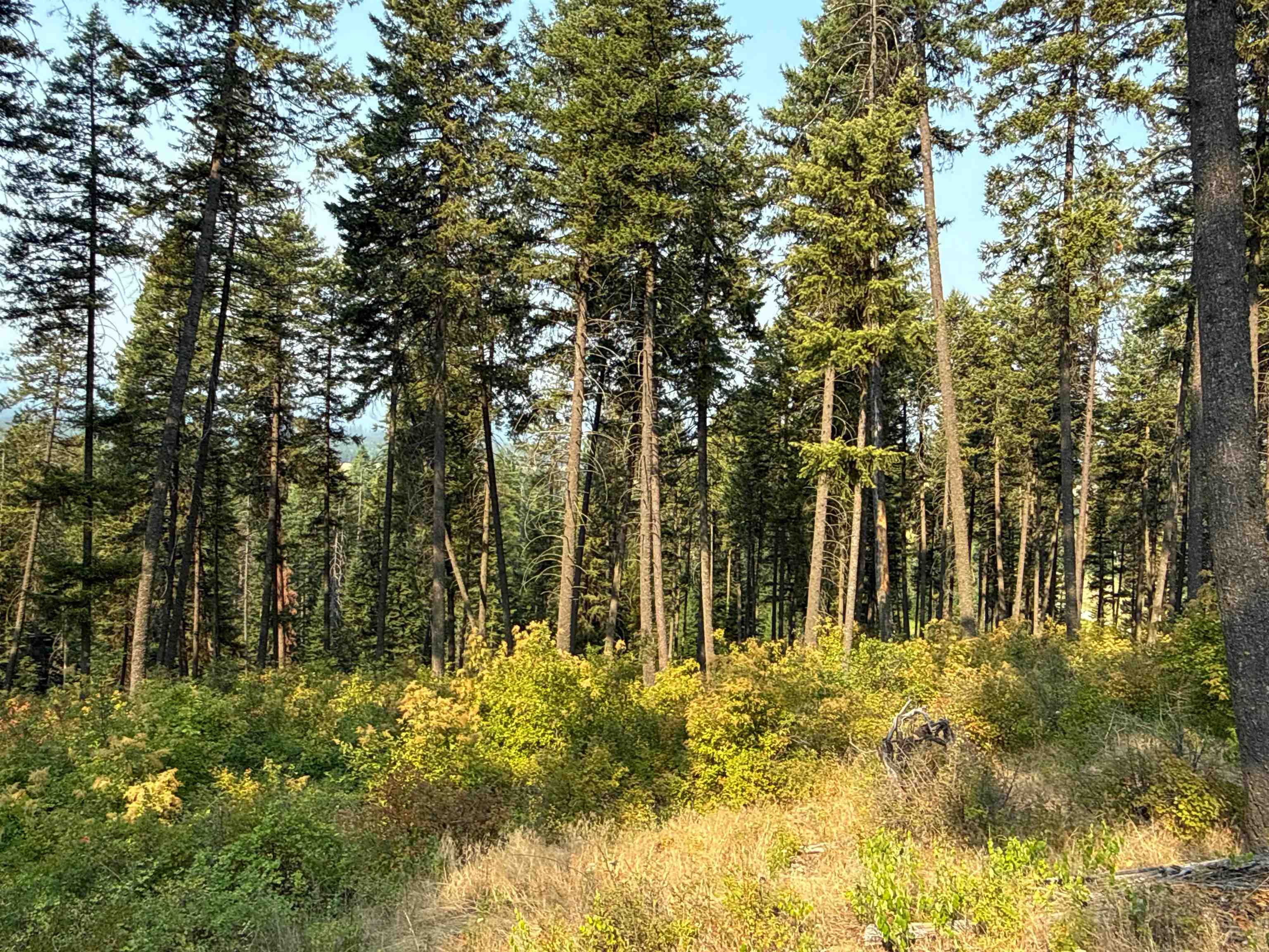 NKA Berry Rd - Photo 2