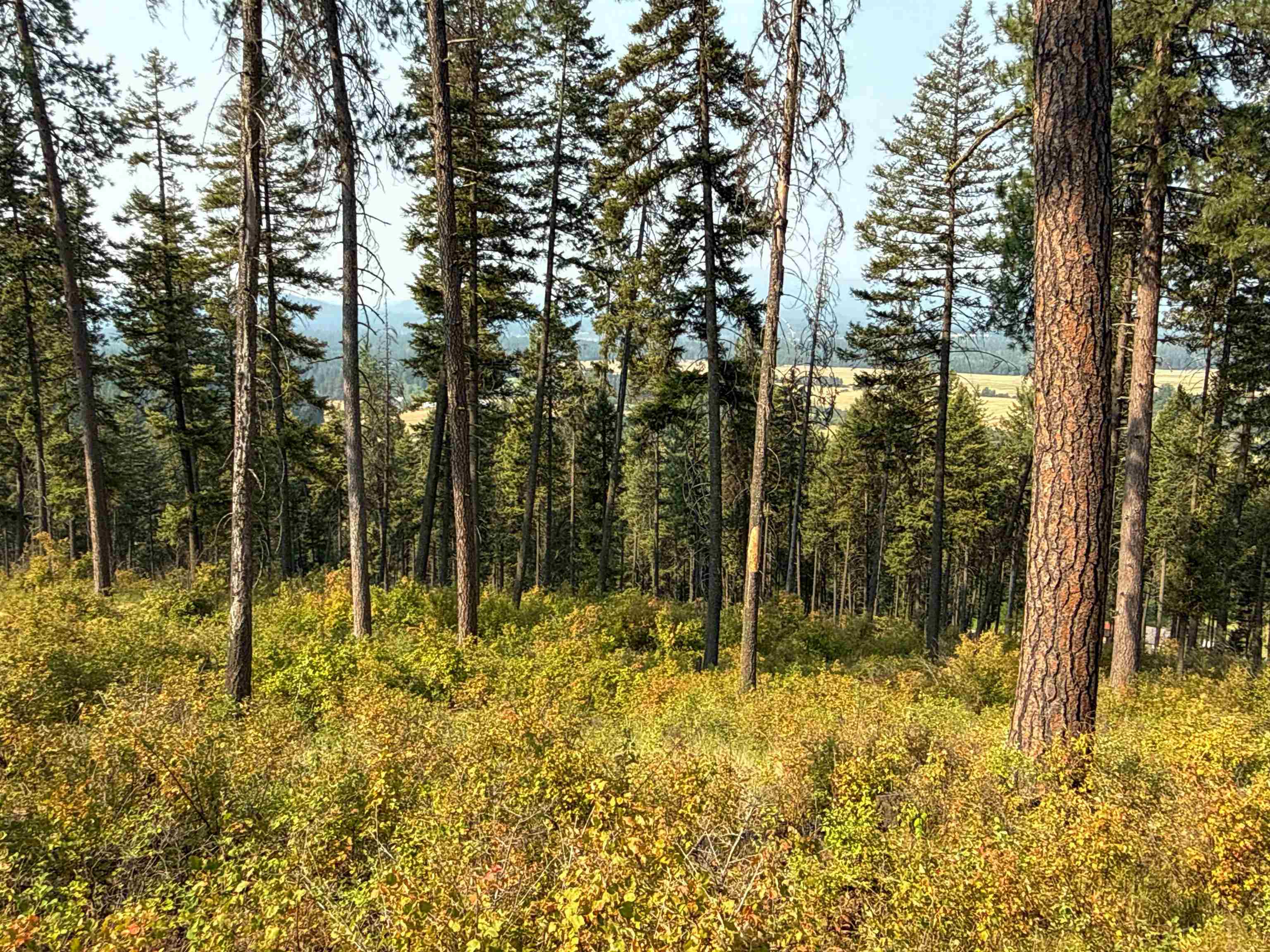 NKA Berry Rd - Photo 6
