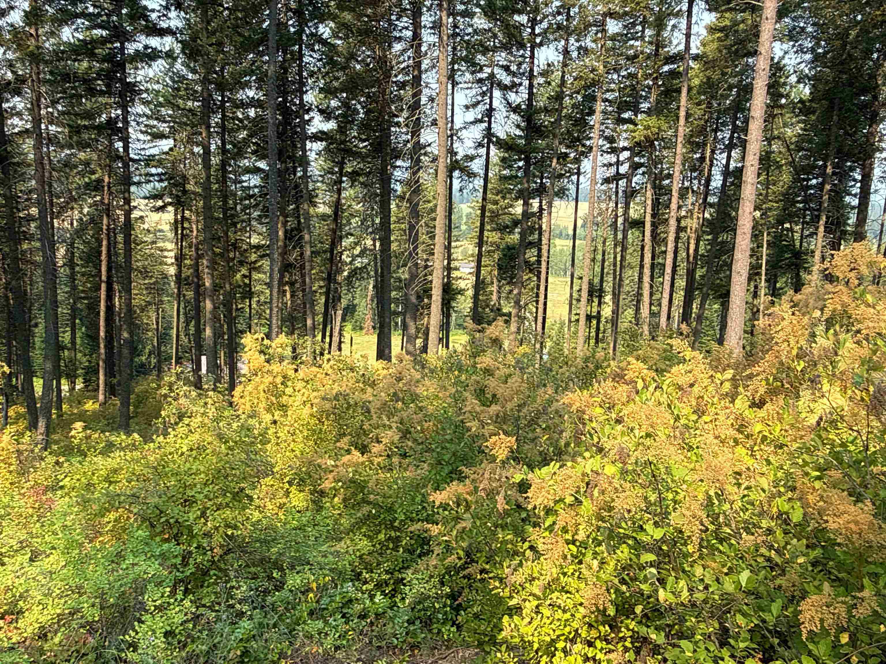 NKA Berry Rd - Photo 8