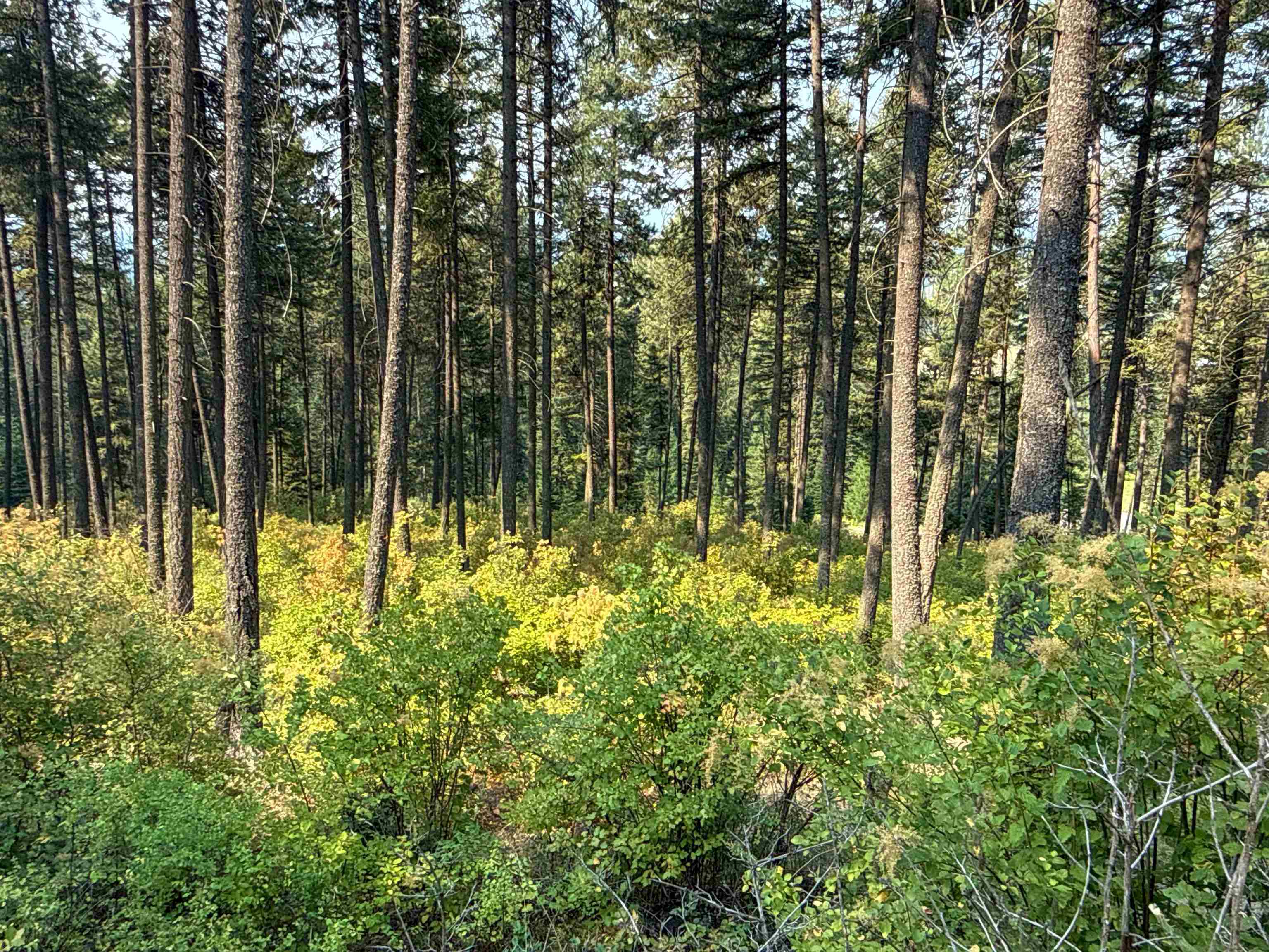 NKA Berry Rd - Photo 11
