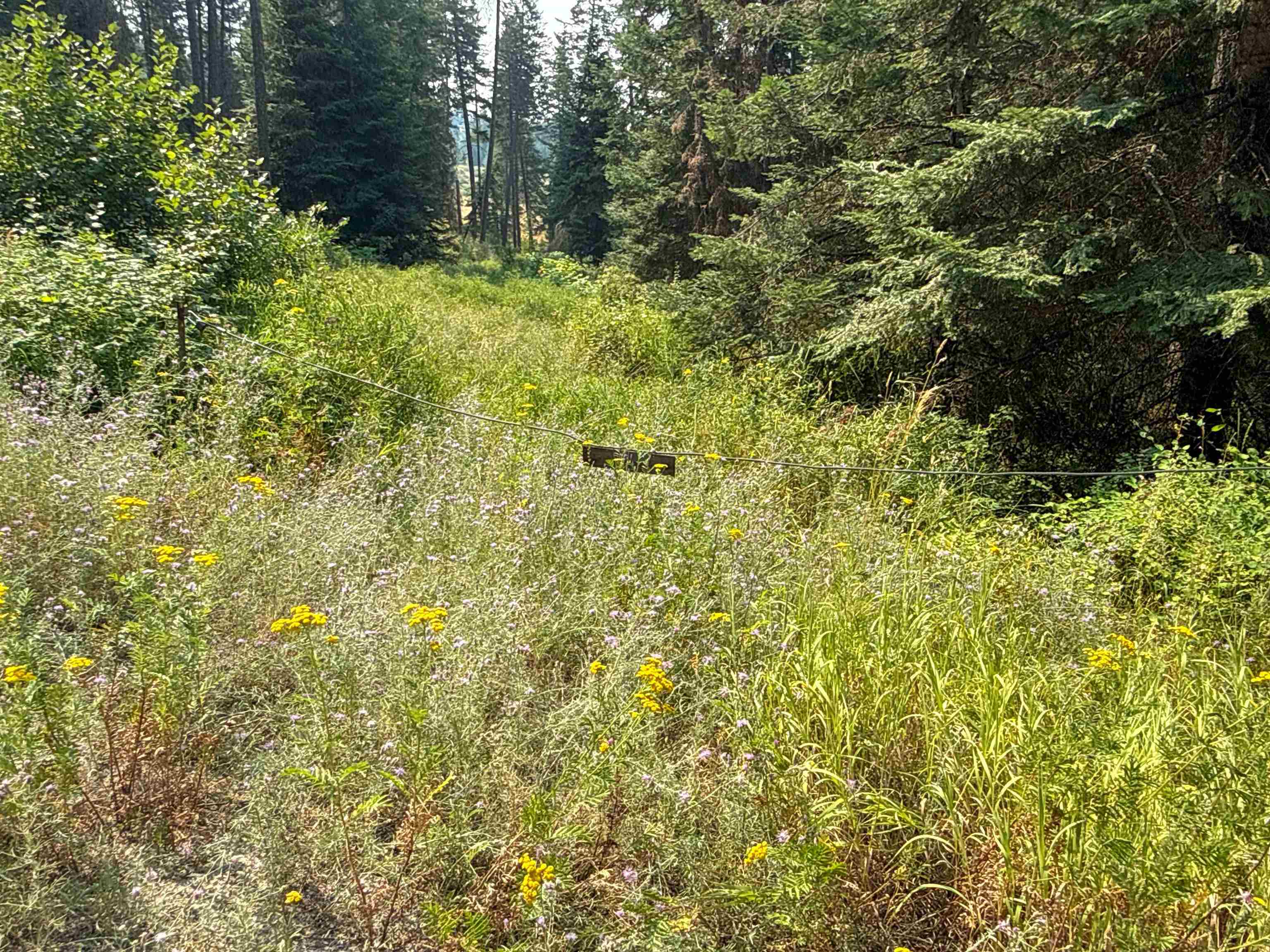 NKA Berry Rd - Photo 16