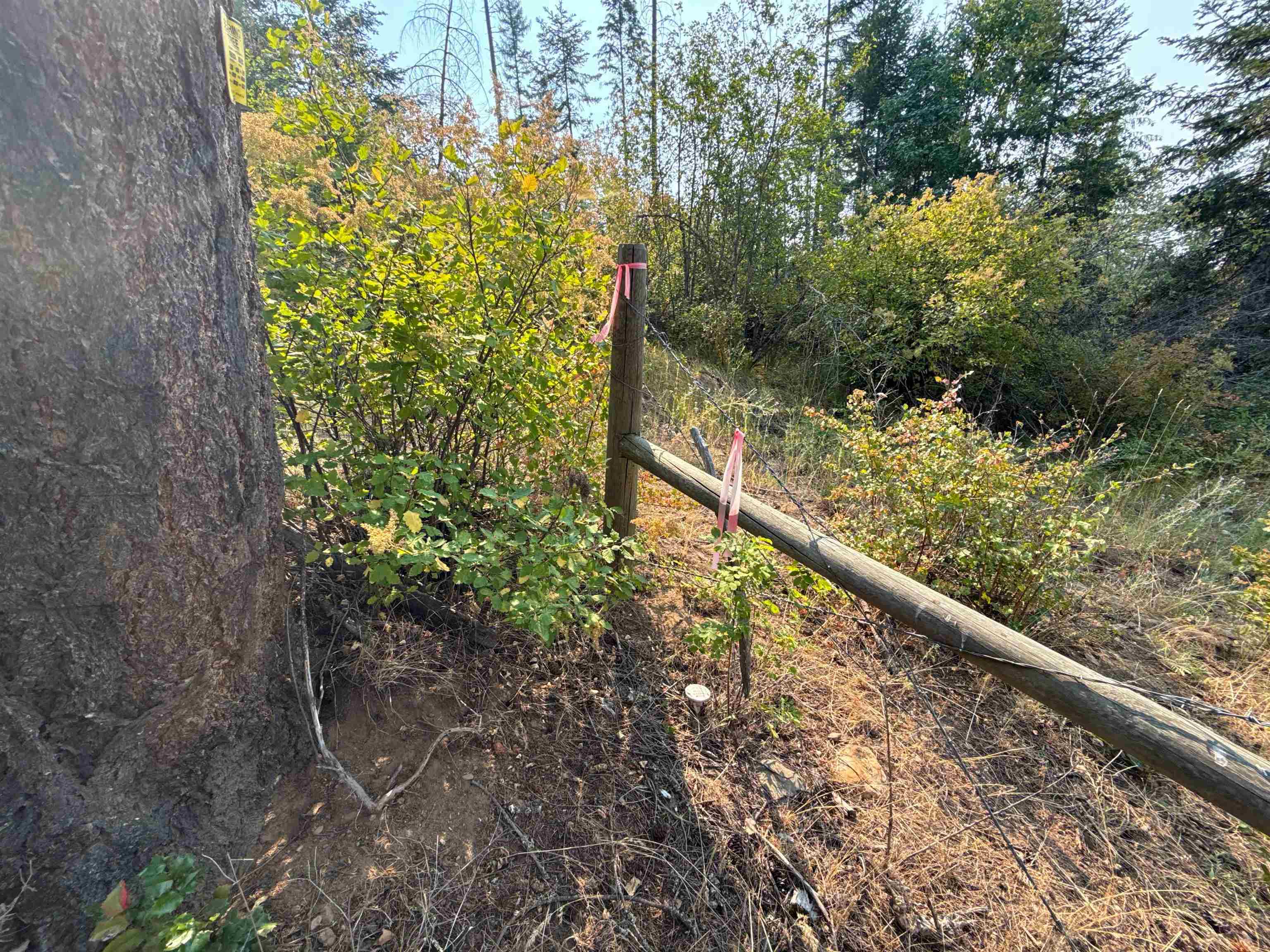 NKA Berry Rd - Photo 18