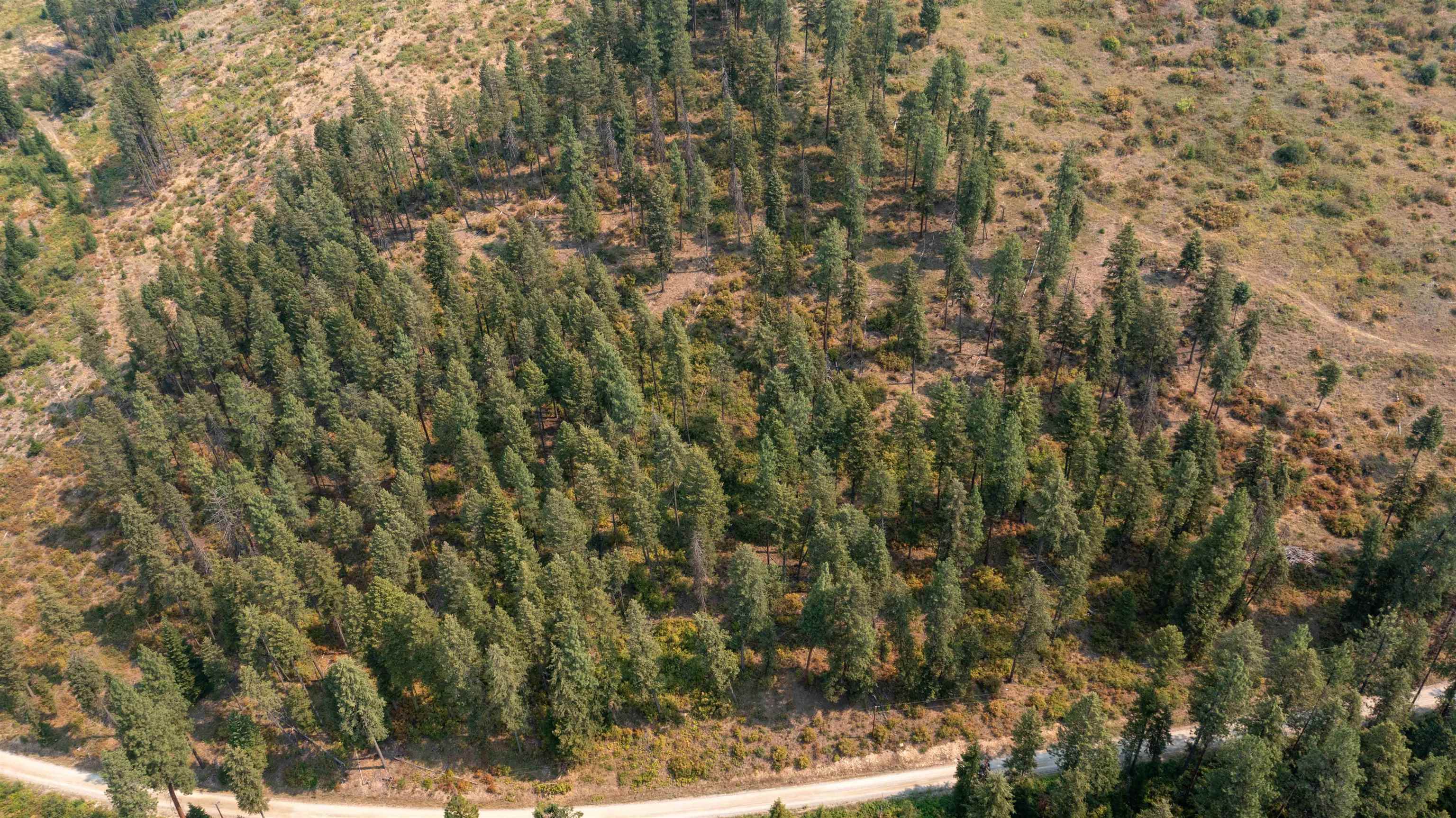 NKA Berry Rd - Photo 29
