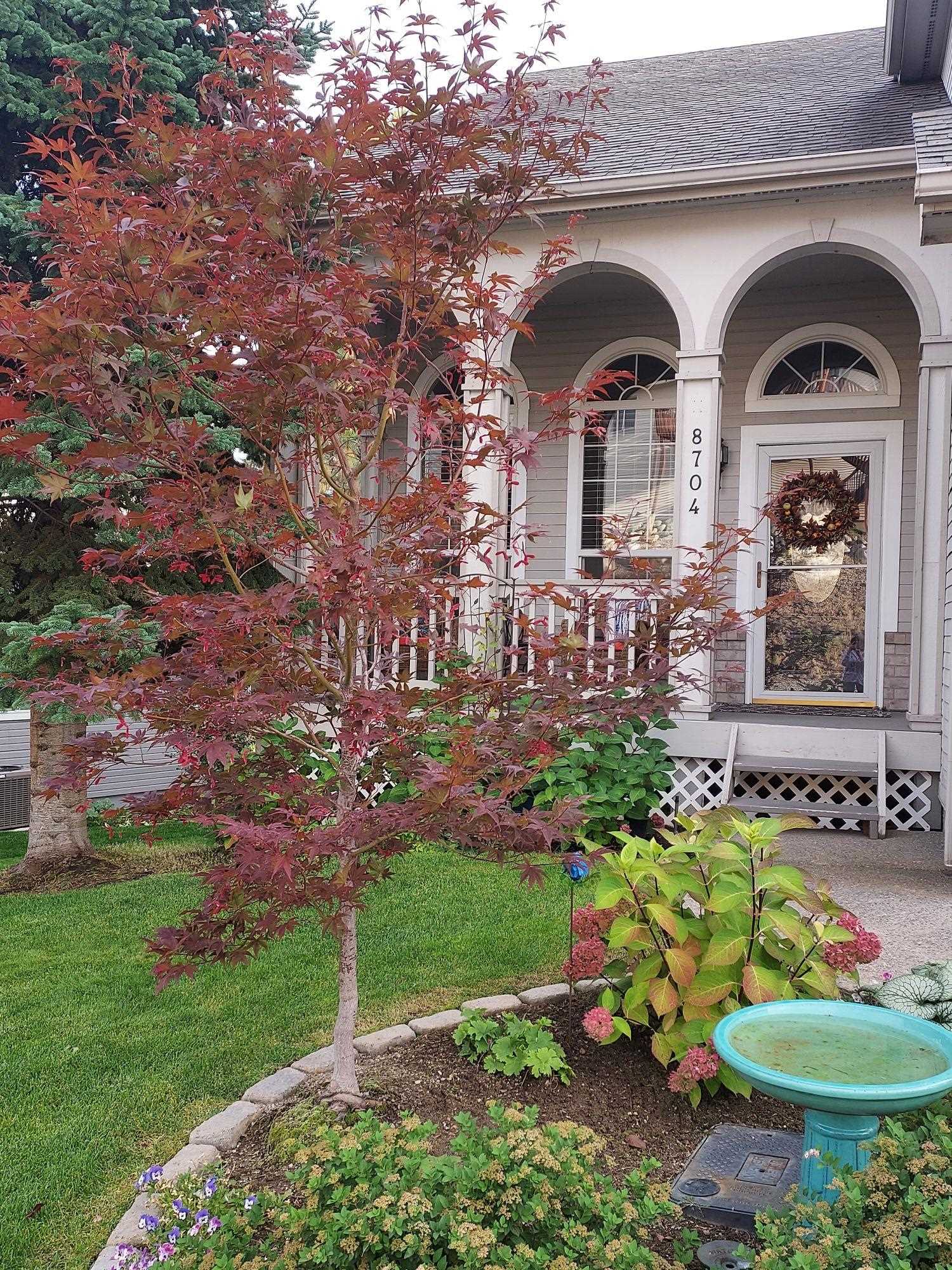 8704 E Parkside Ln - Photo 47