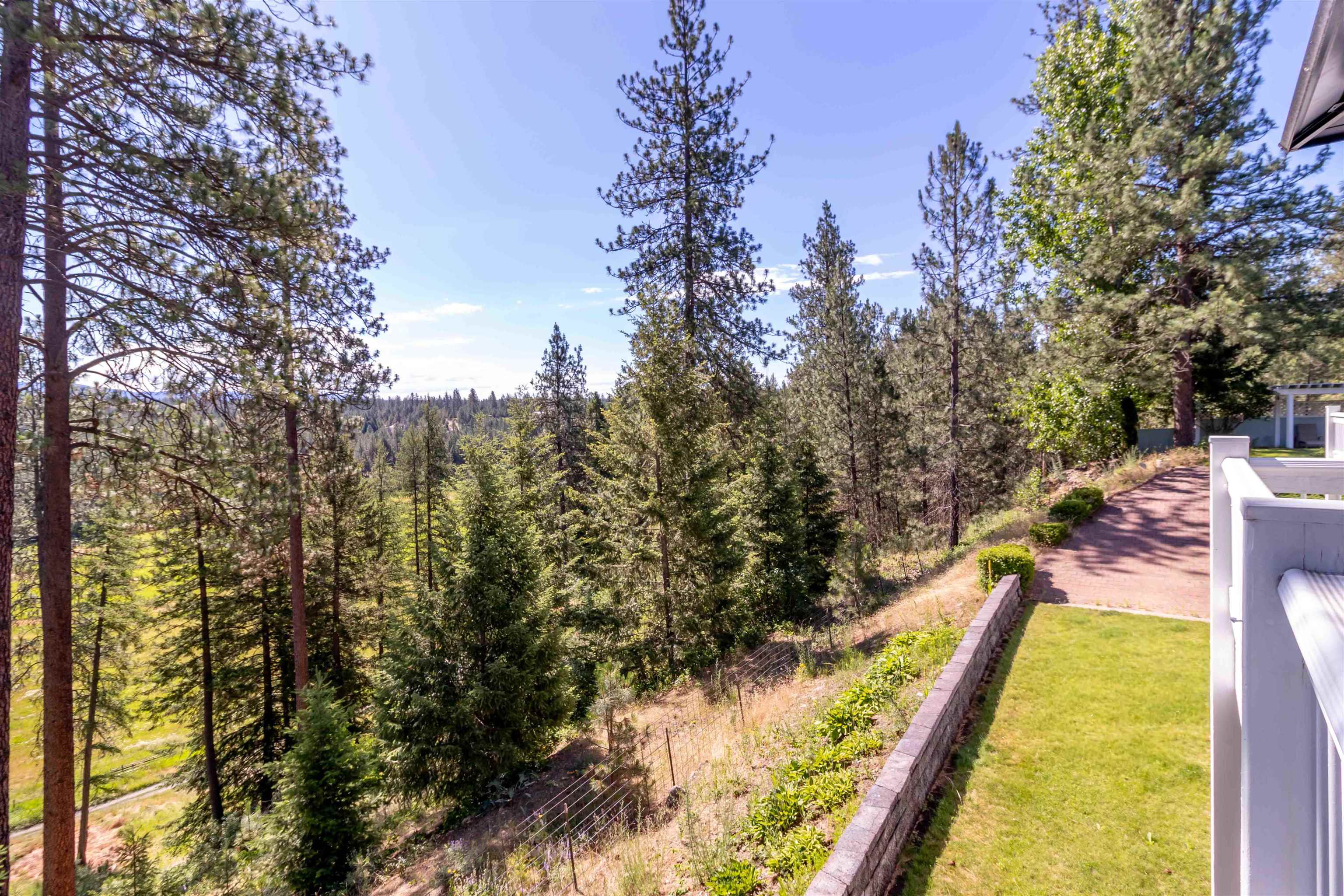 29414 N Selkirk View Dr - Photo 45