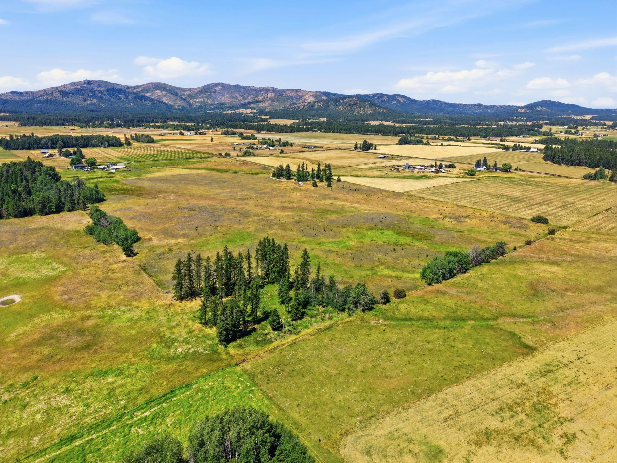 5314 Hattery-Owens Rd - Photo 13