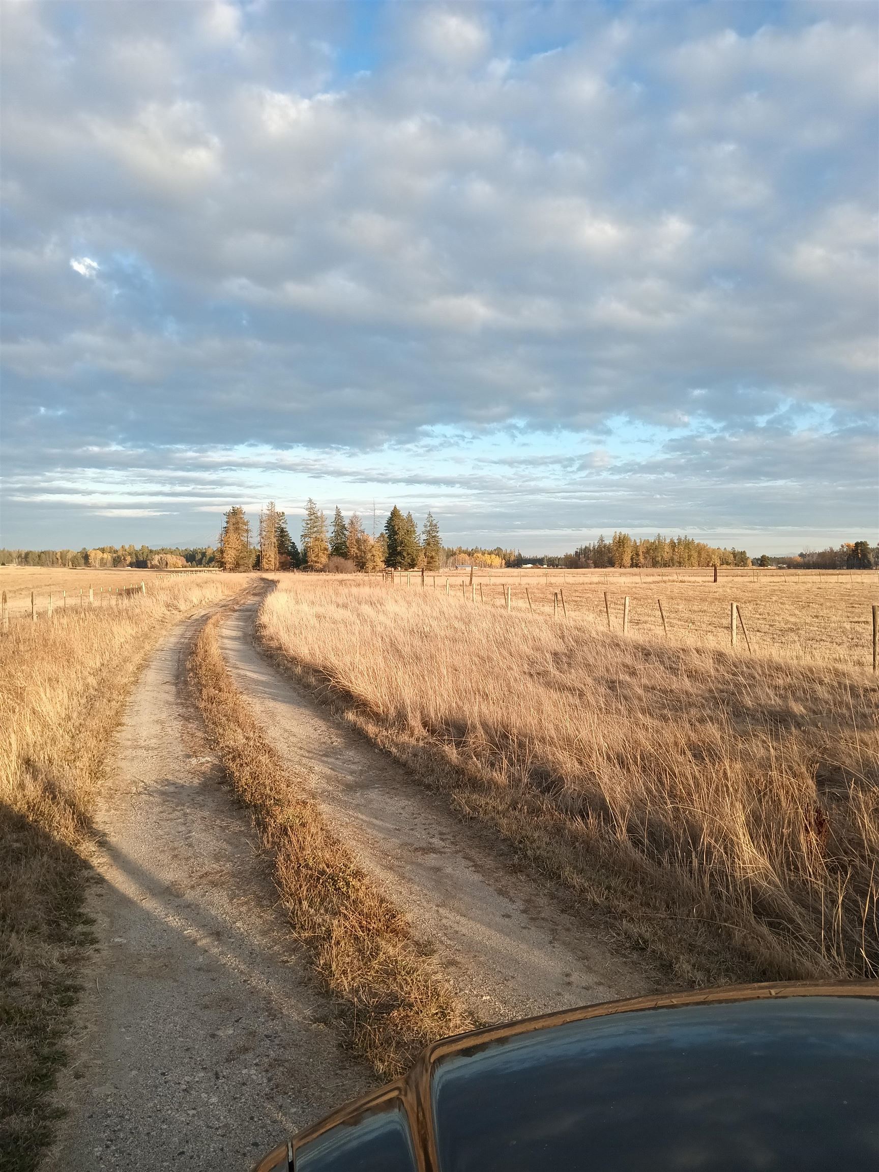 5314 Hattery-Owens Rd - Photo 28