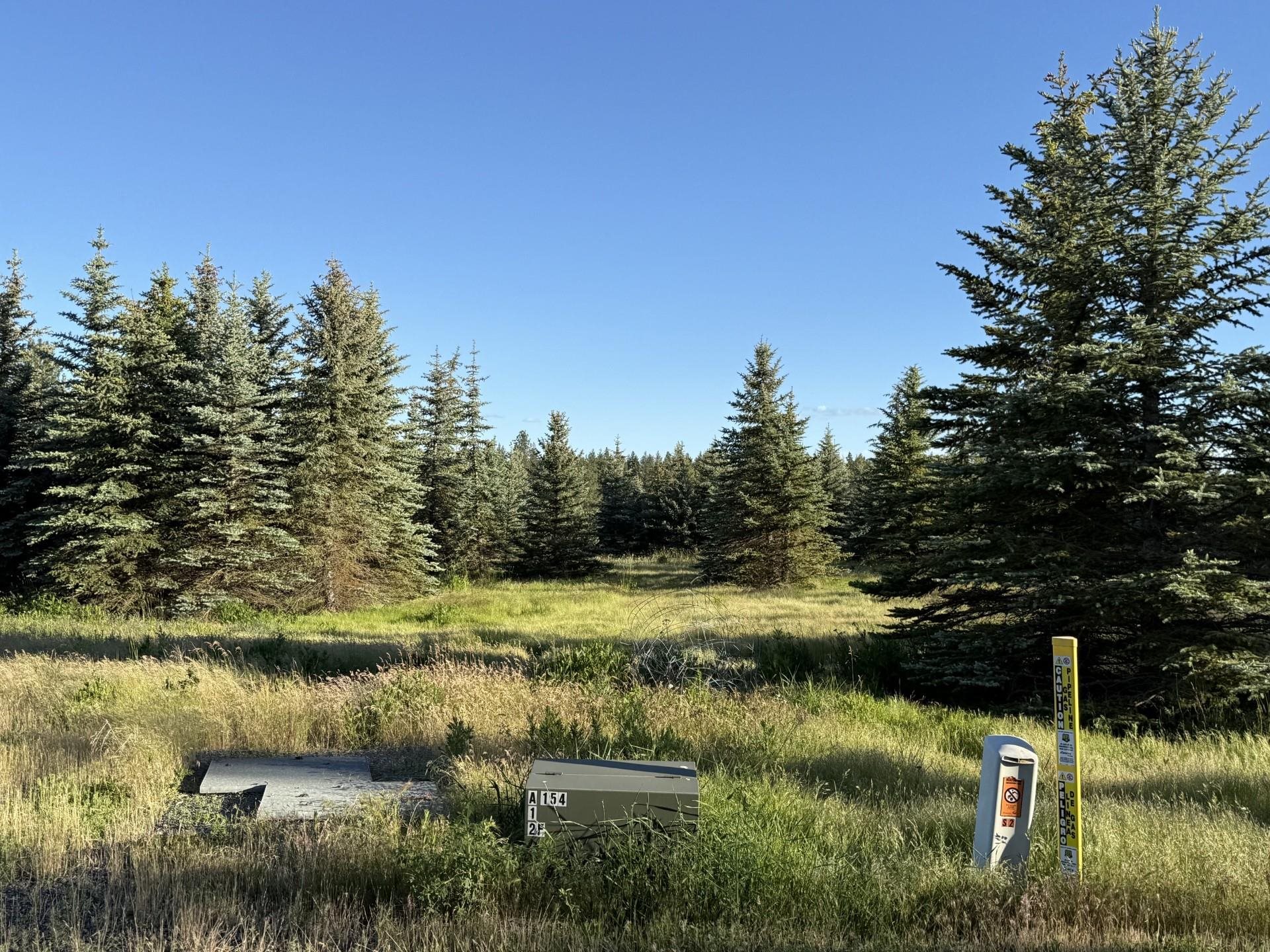 112XX S Spruce Tree Ln - Photo 5
