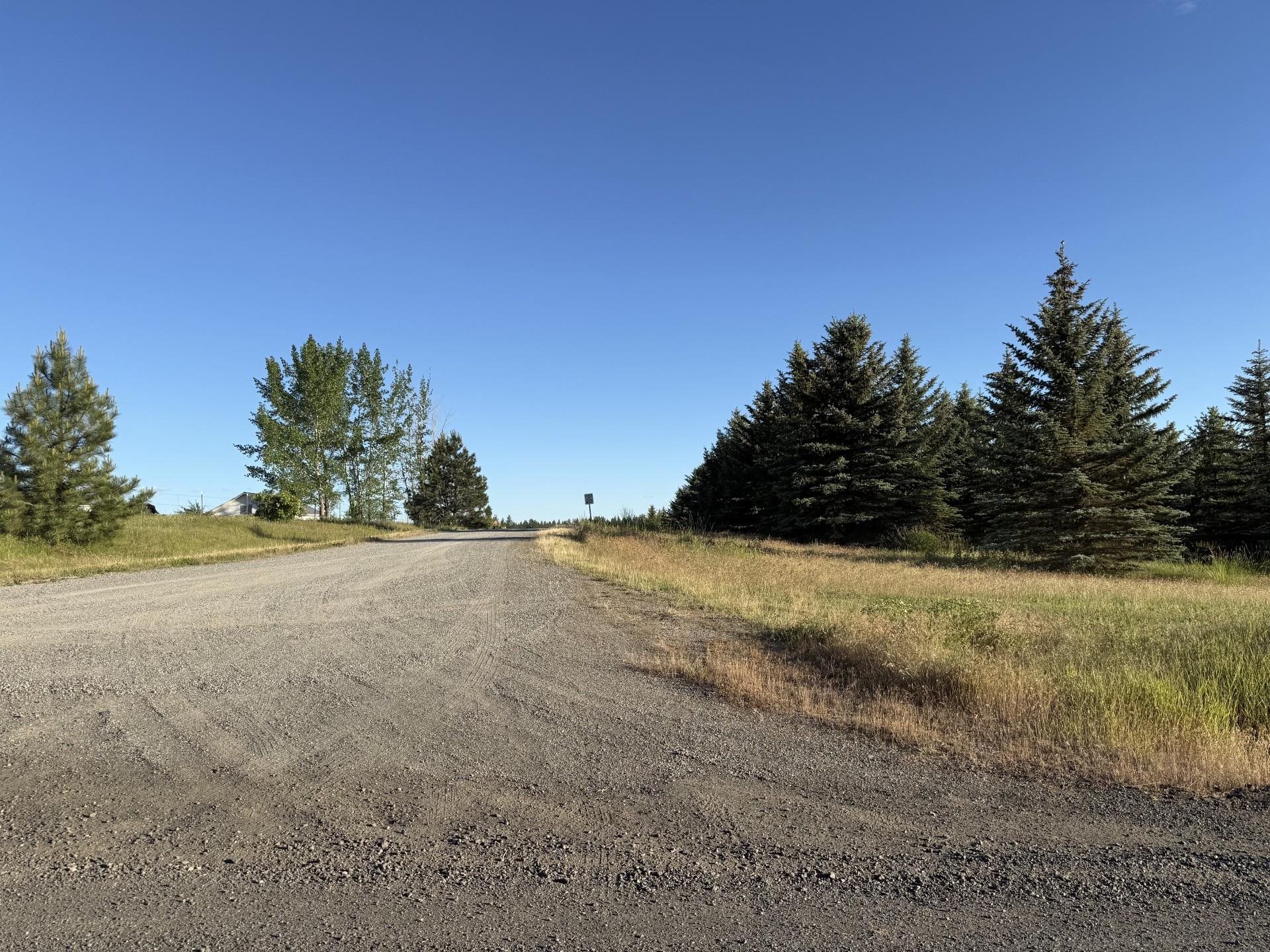 112XX S Spruce Tree Ln - Photo 6