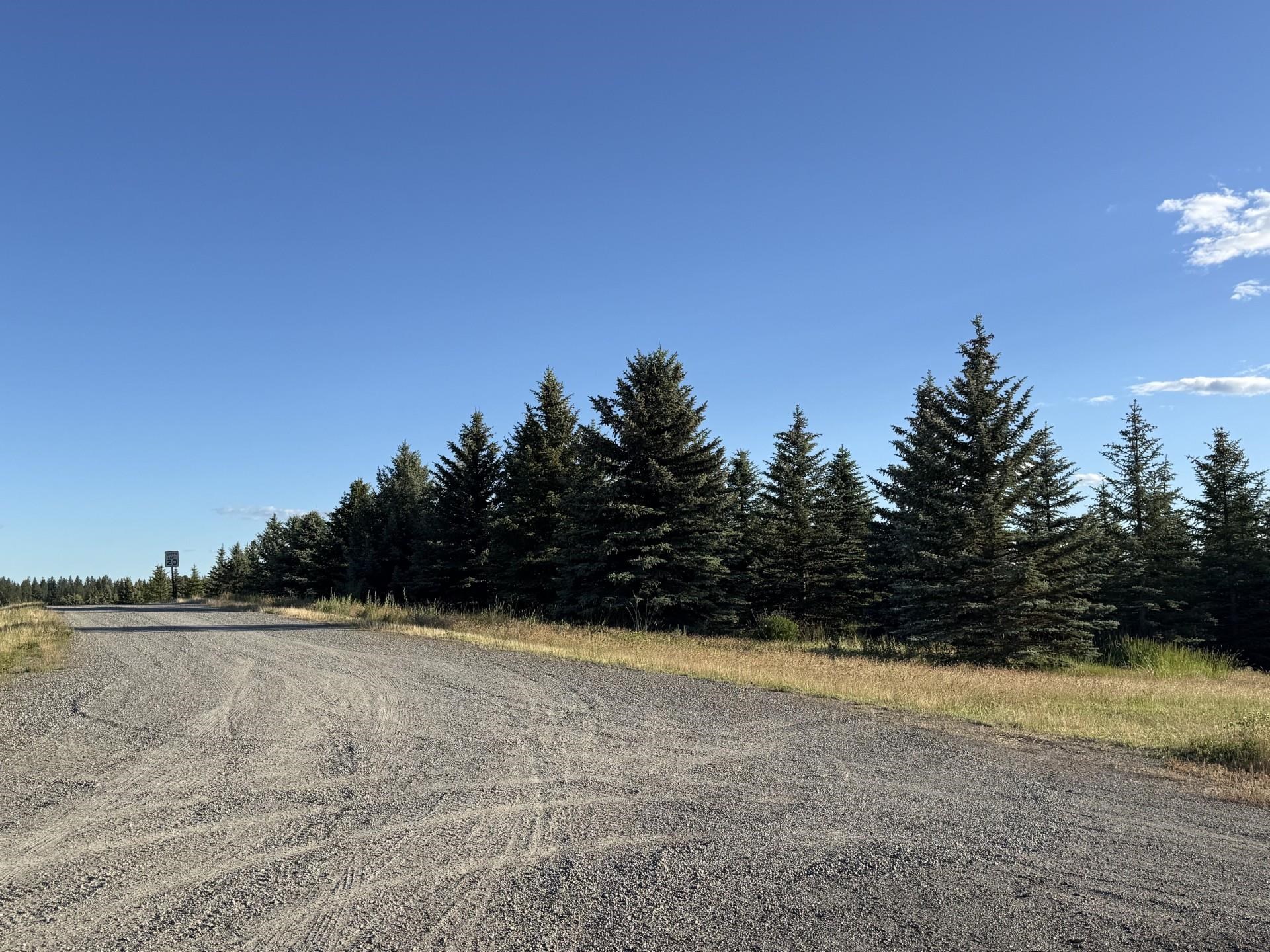 111XX S Spruce Tree Ln - Photo 2