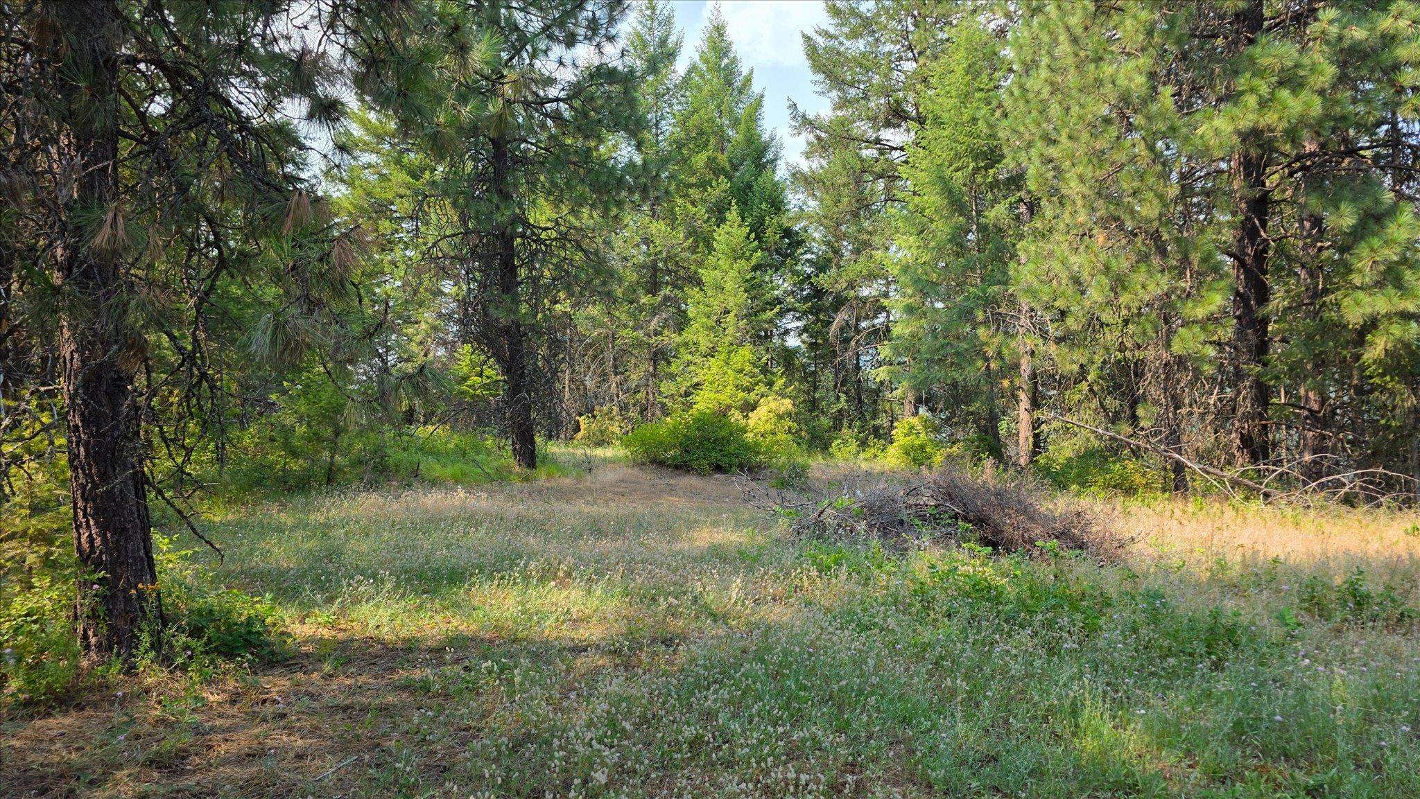 433421 SR-20 Hwy - Photo 36