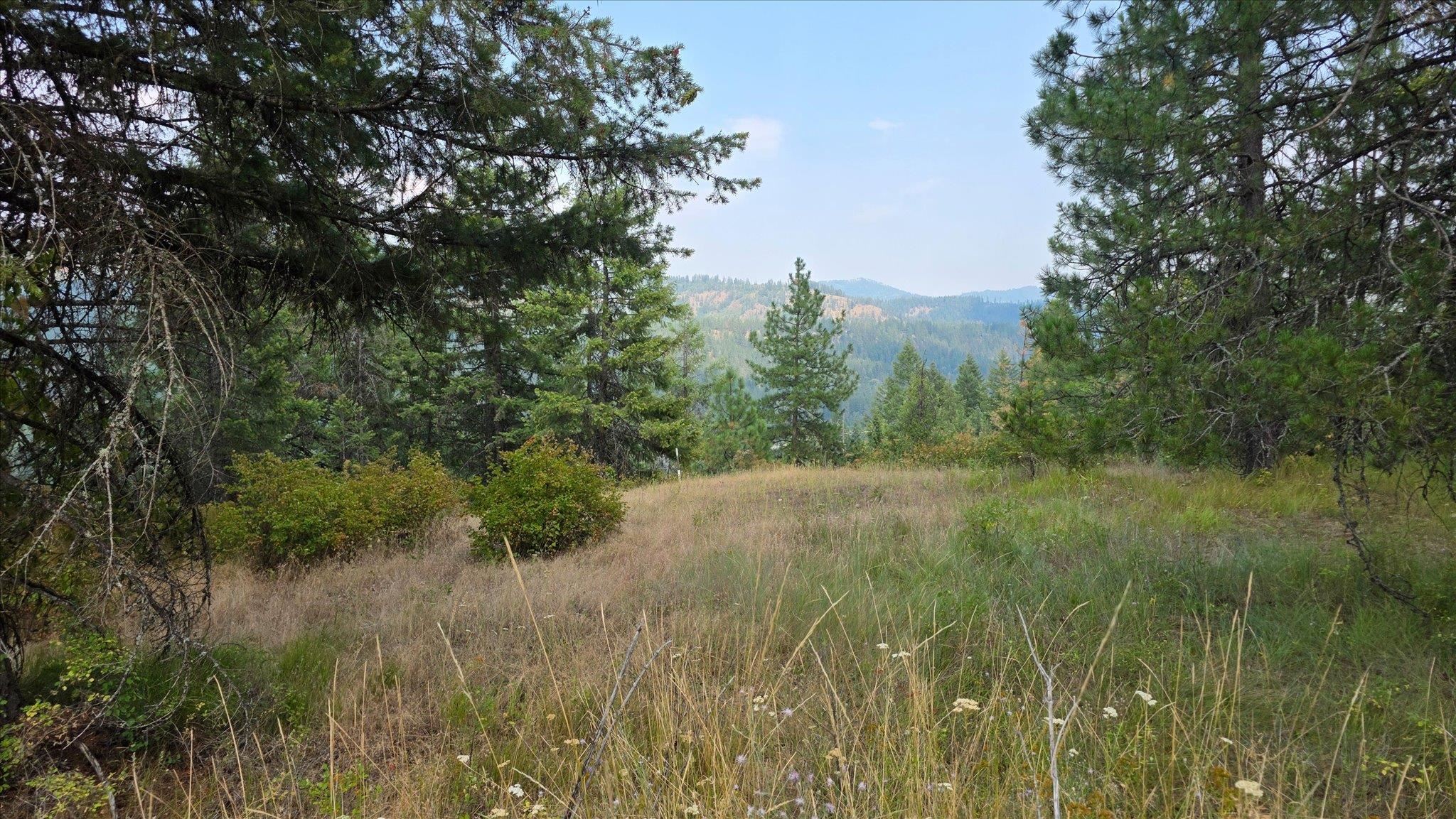 433421 SR-20 Hwy - Photo 37