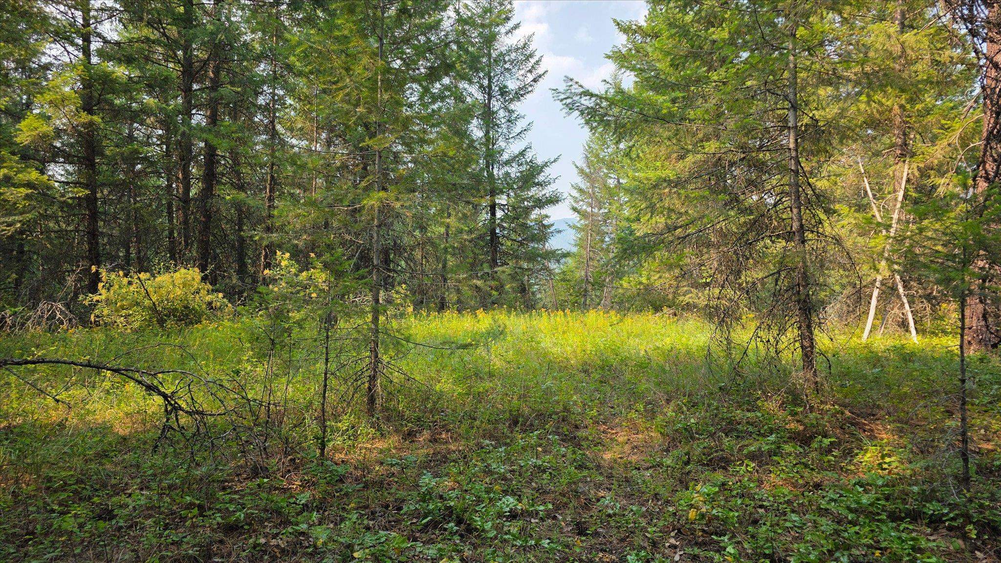 433421 SR-20 Hwy - Photo 47
