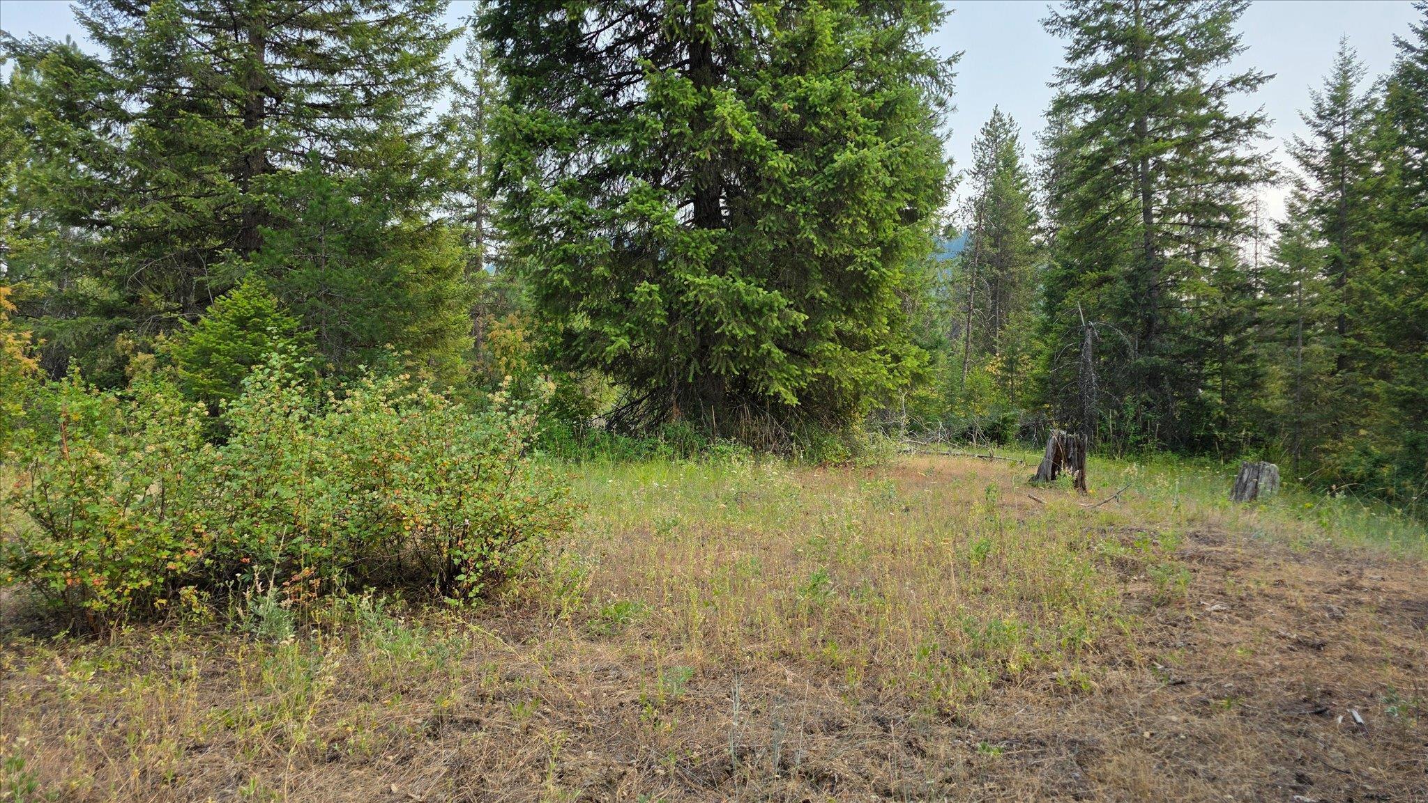 433421 SR-20 Hwy - Photo 48
