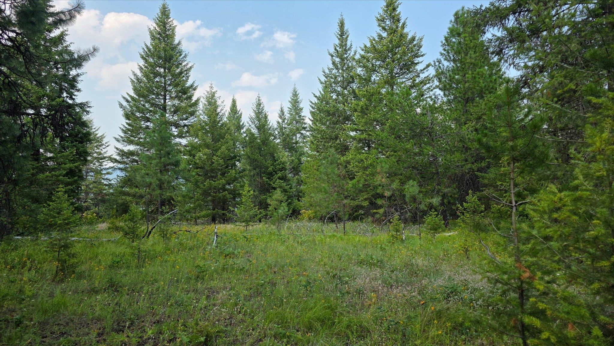 433421 SR-20 Hwy - Photo 38