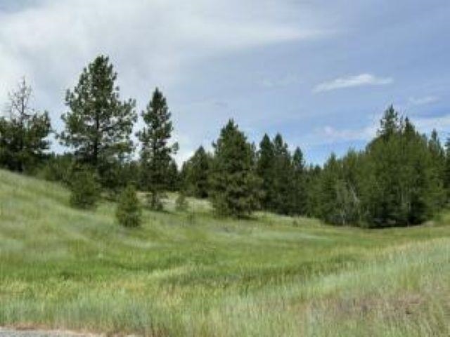 1258 PINGSTON CREEK Rd - Photo 42