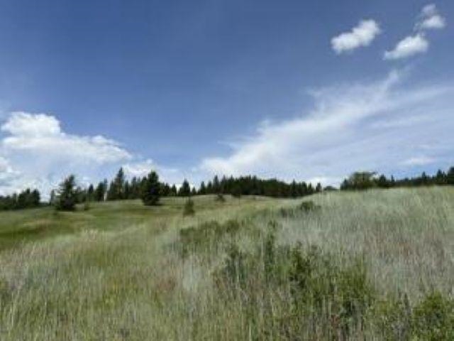 1258 PINGSTON CREEK Rd - Photo 43