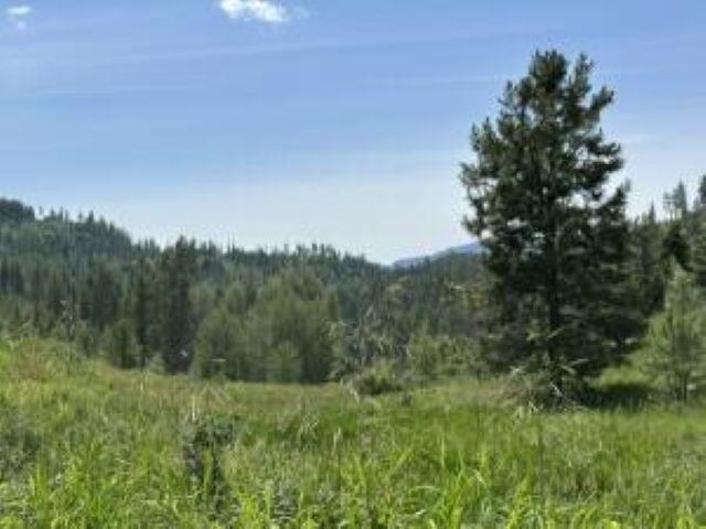 1258 PINGSTON CREEK Rd - Photo 44