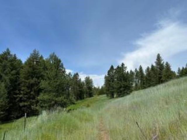 1258 PINGSTON CREEK Rd - Photo 45