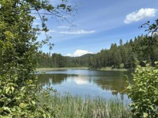 1258 PINGSTON CREEK Rd - Photo 46