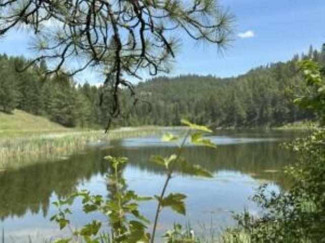 1258 PINGSTON CREEK Rd - Photo 47