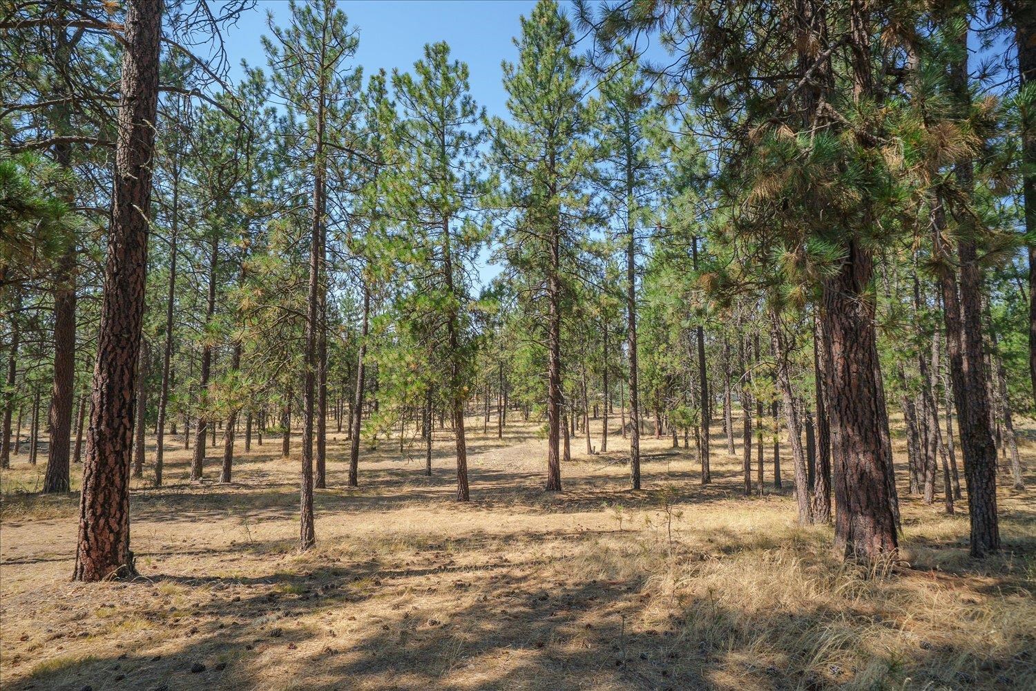 1110 S Brooks Rd - Photo 2
