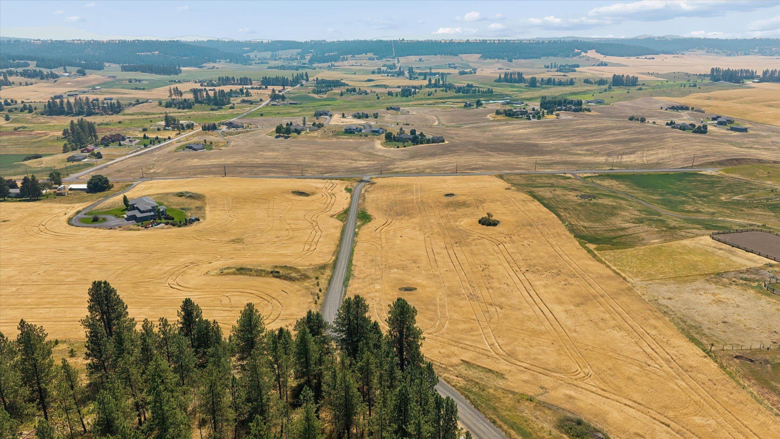 103XX E Mt Spokane Park Dr - Photo 13