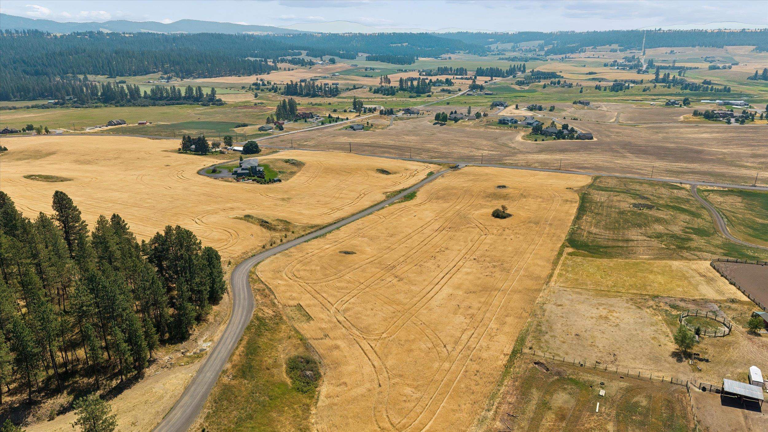 103XX E Mt Spokane Park Dr - Photo 14