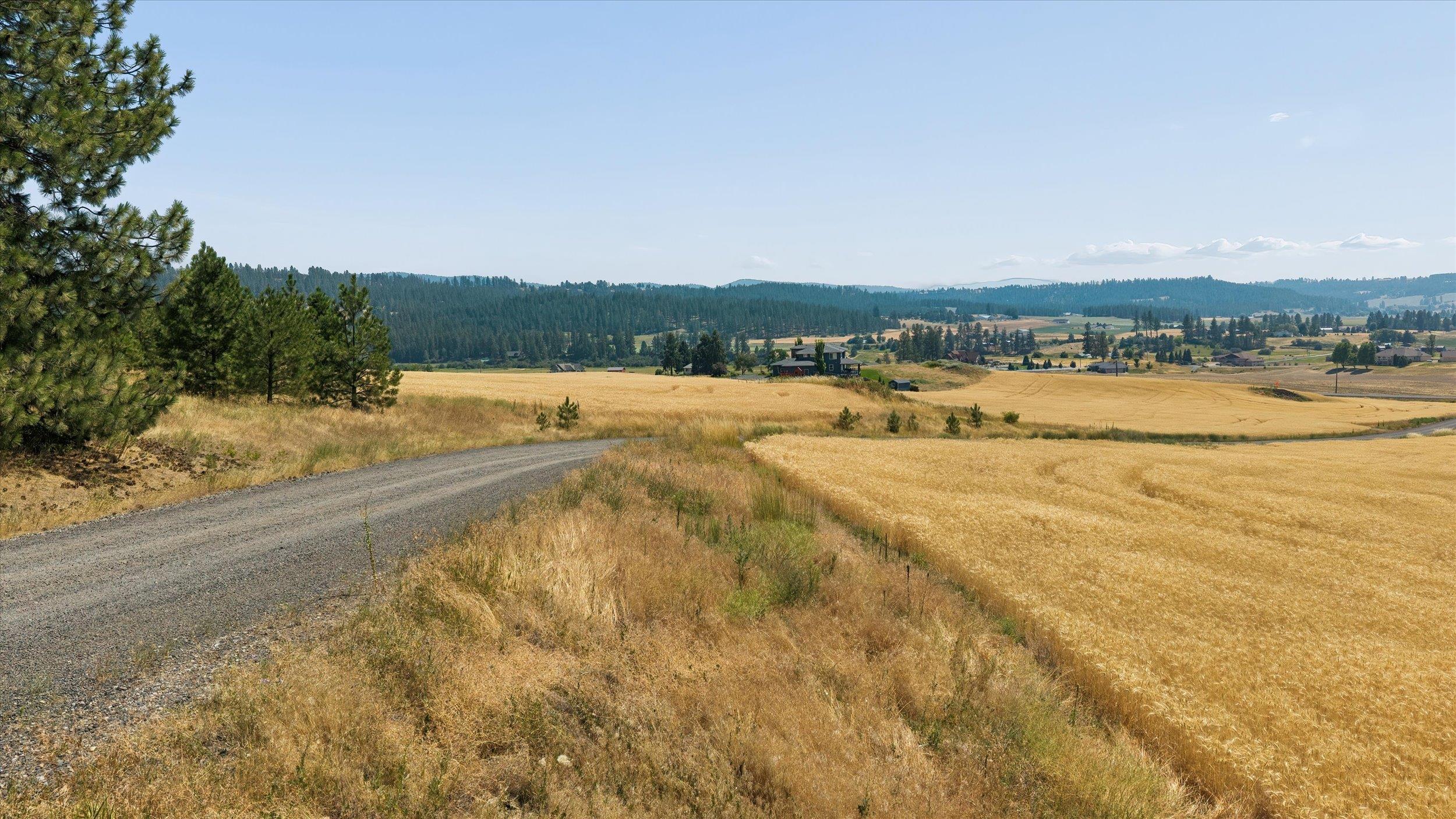 103XX E Mt Spokane Park Dr - Photo 22