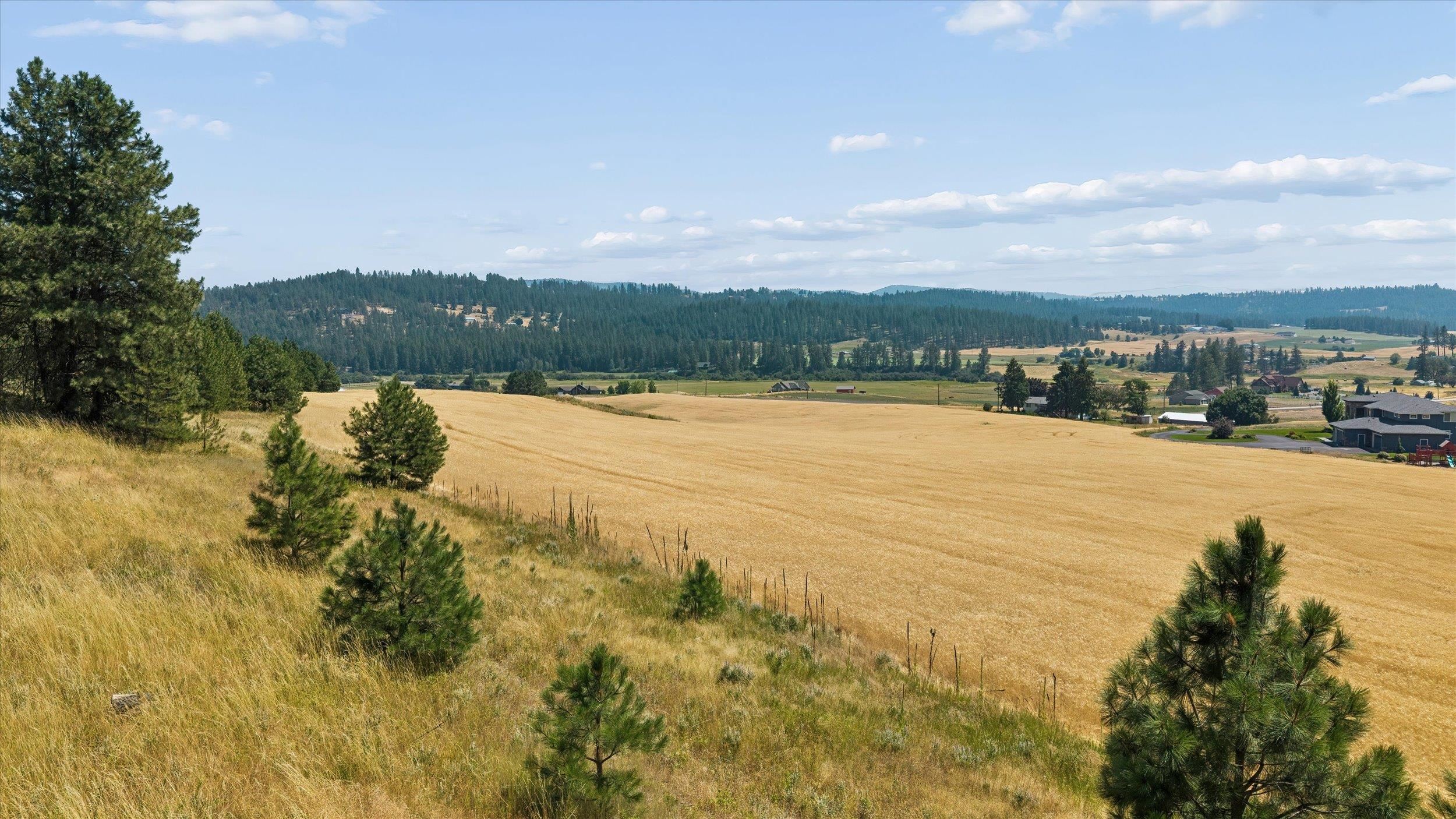 104XX E Mt Spokane Park Dr - Photo 3