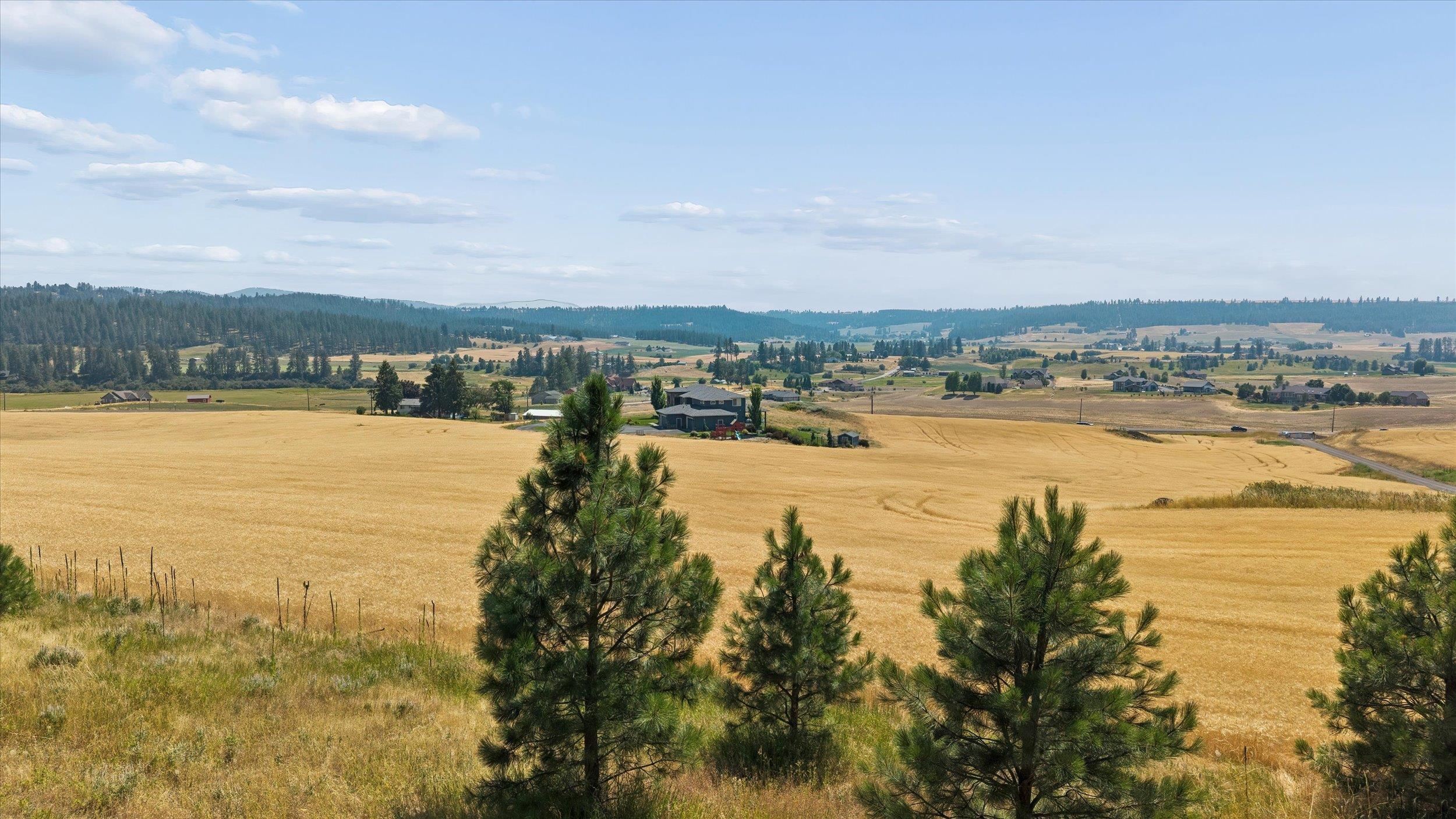 104XX E Mt Spokane Park Dr - Photo 9