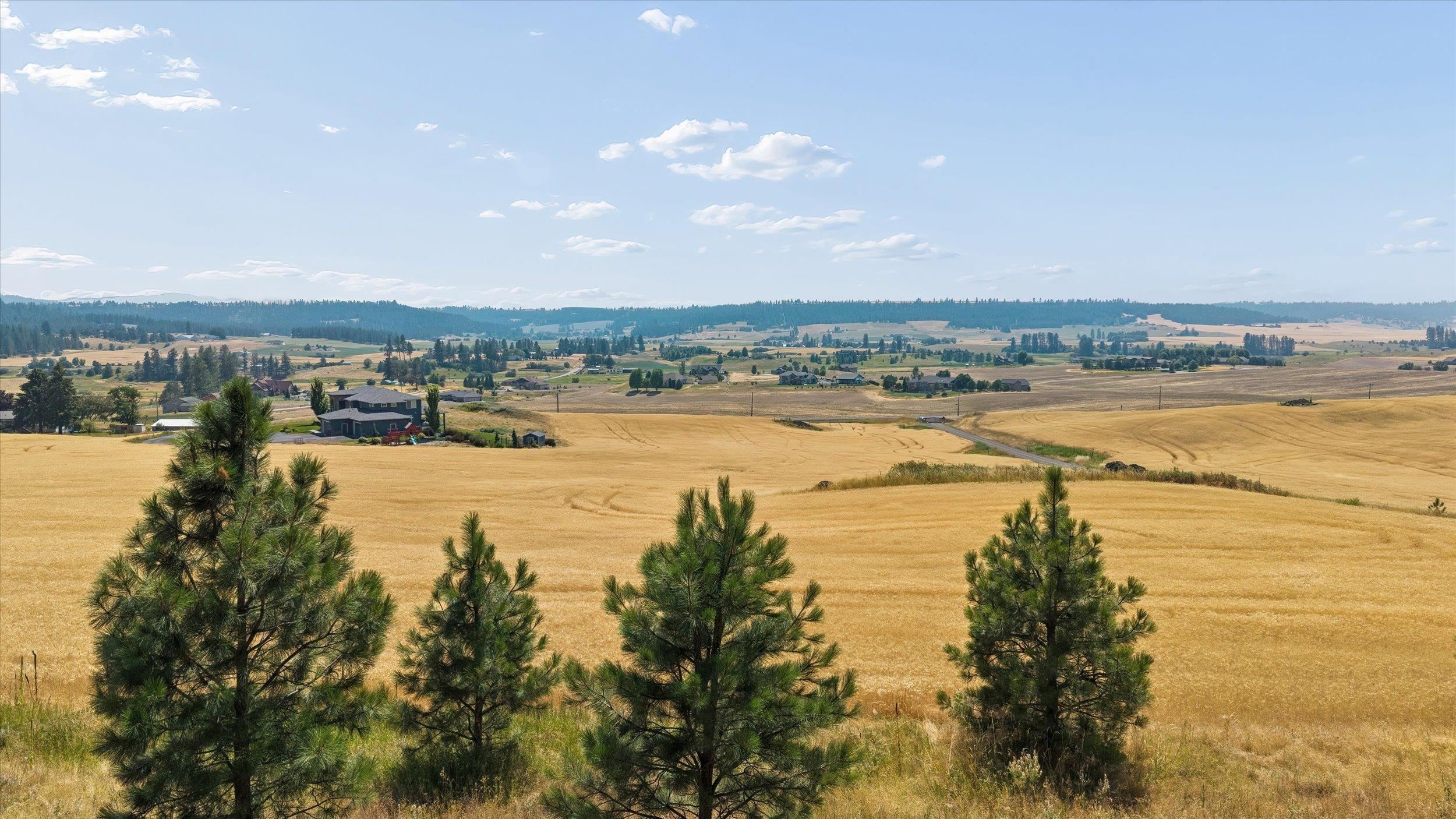 104XX E Mt Spokane Park Dr - Photo 10