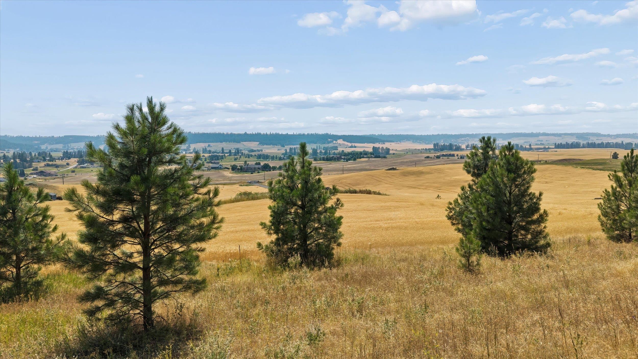 104XX E Mt Spokane Park Dr - Photo 11