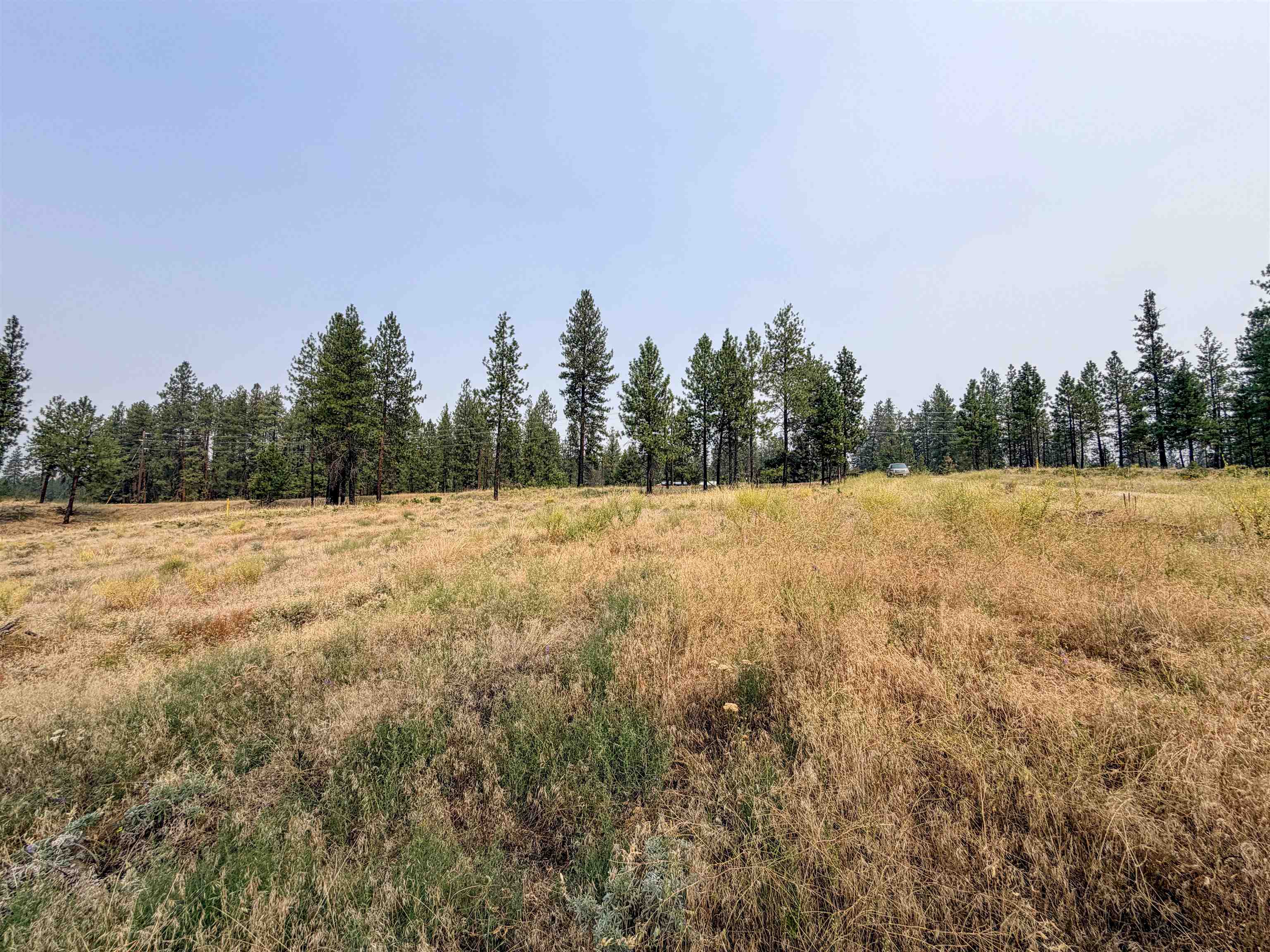 1315 Inez Way - Photo 3