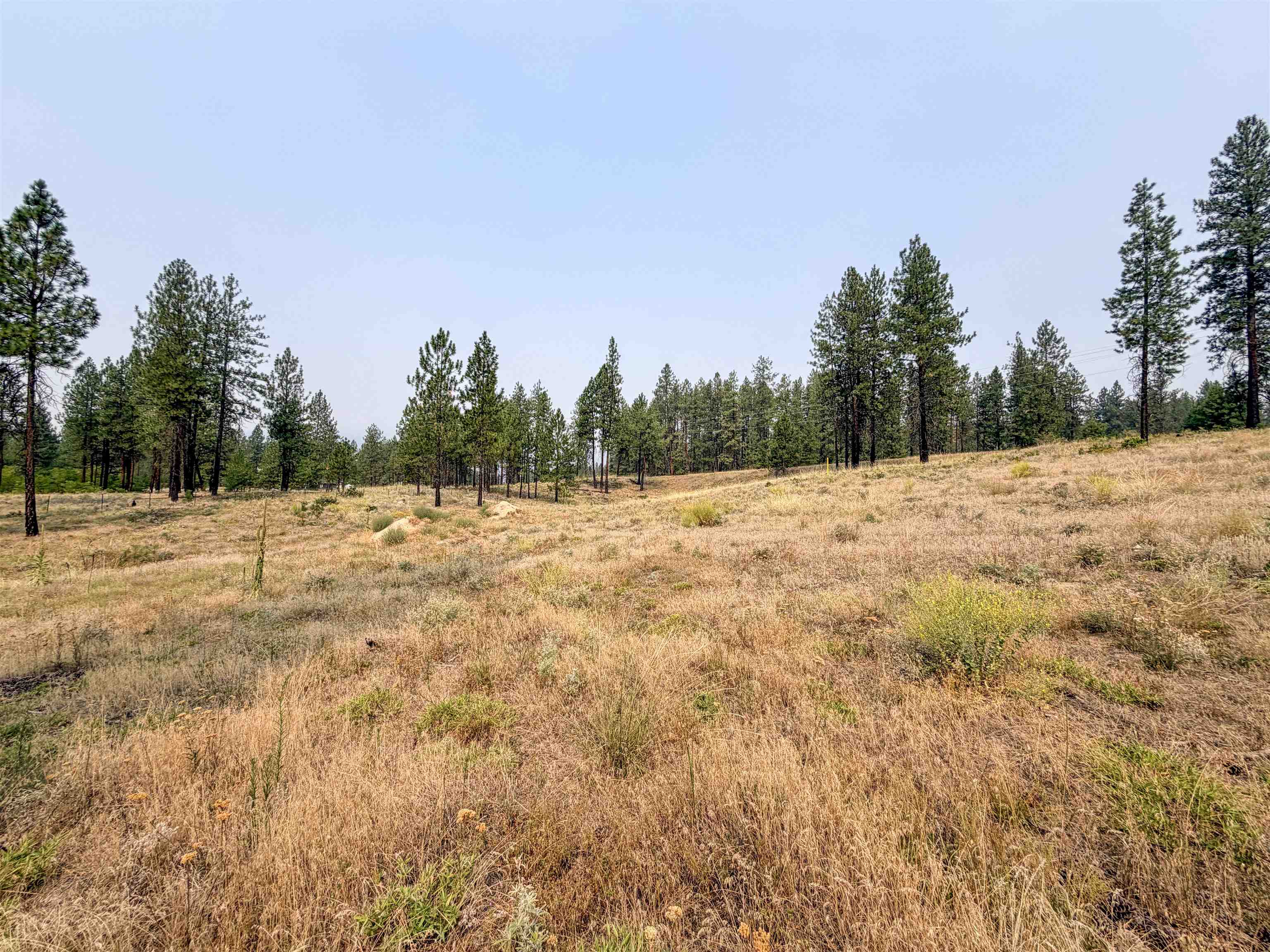 1315 Inez Way - Photo 4