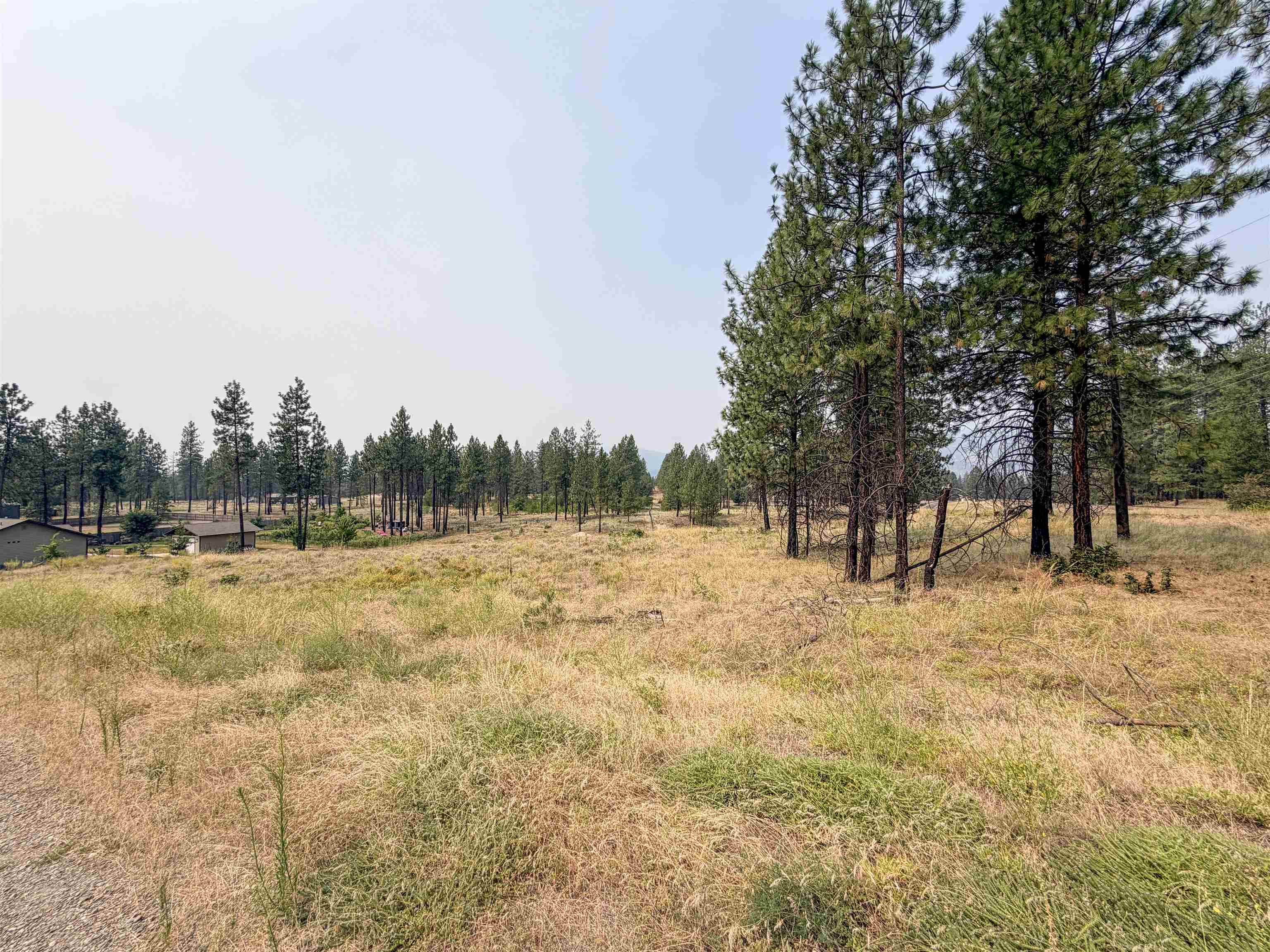 1315 Inez Way - Photo 7