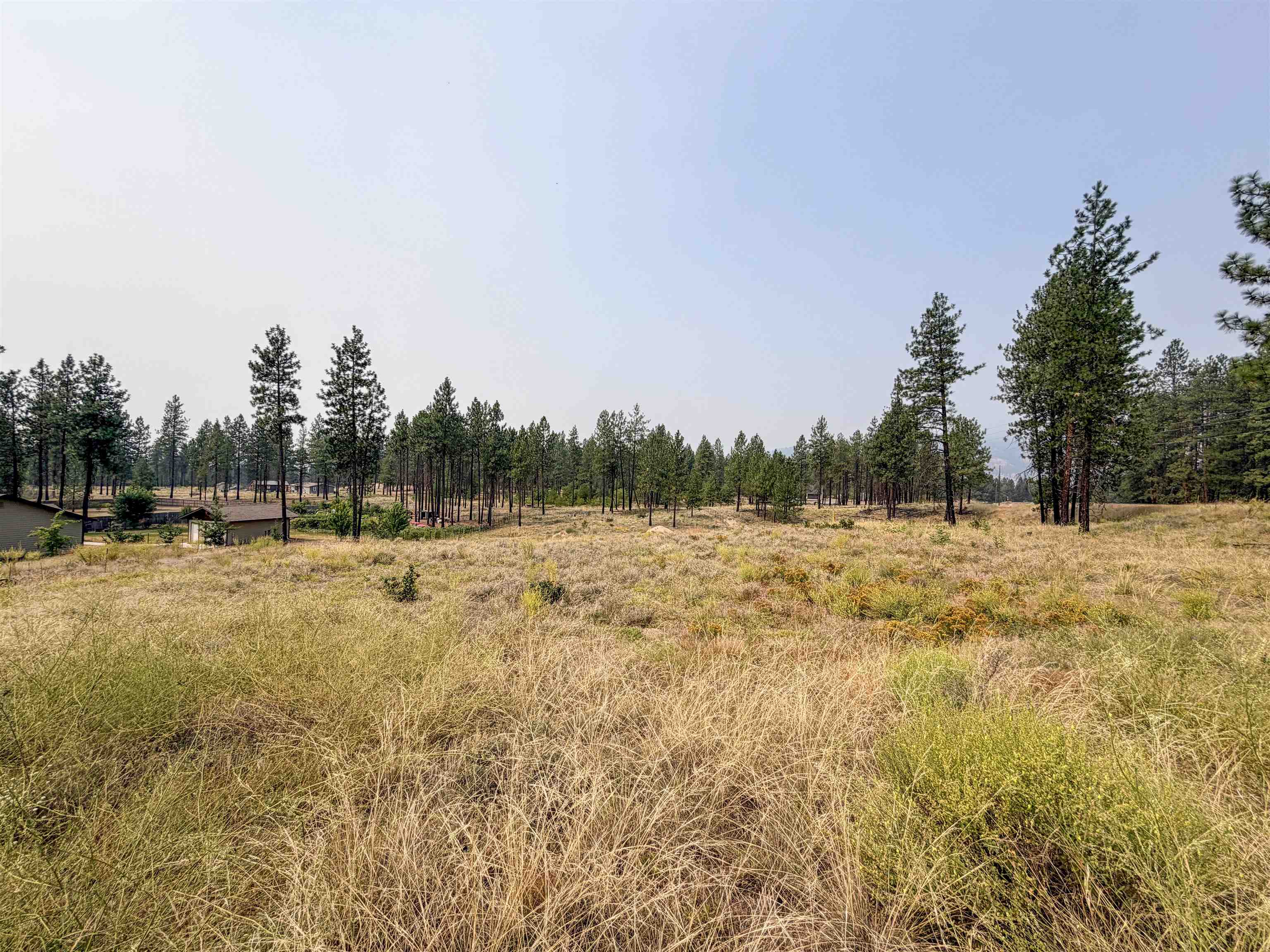 1315 Inez Way - Photo 8