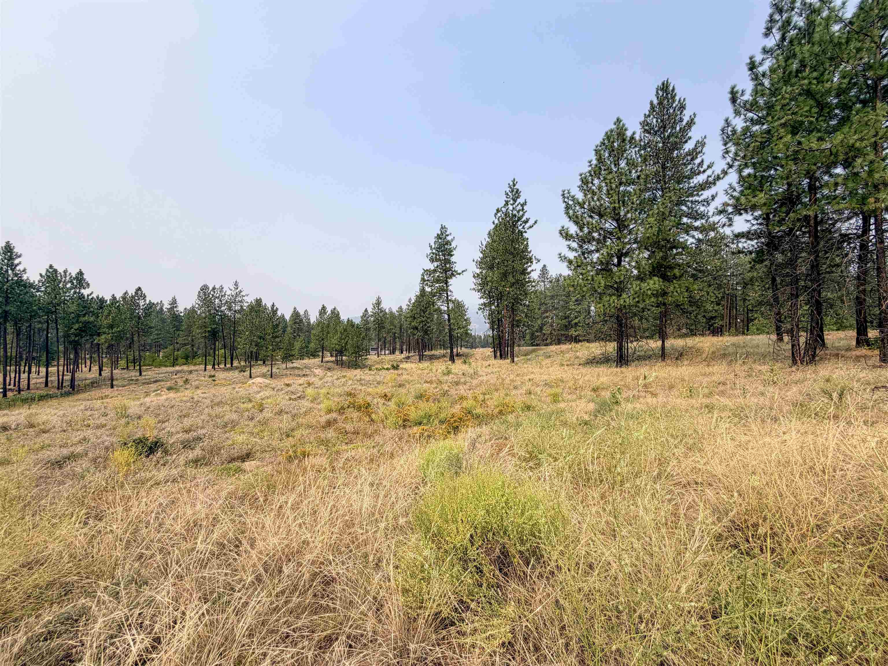 1315 Inez Way - Photo 9