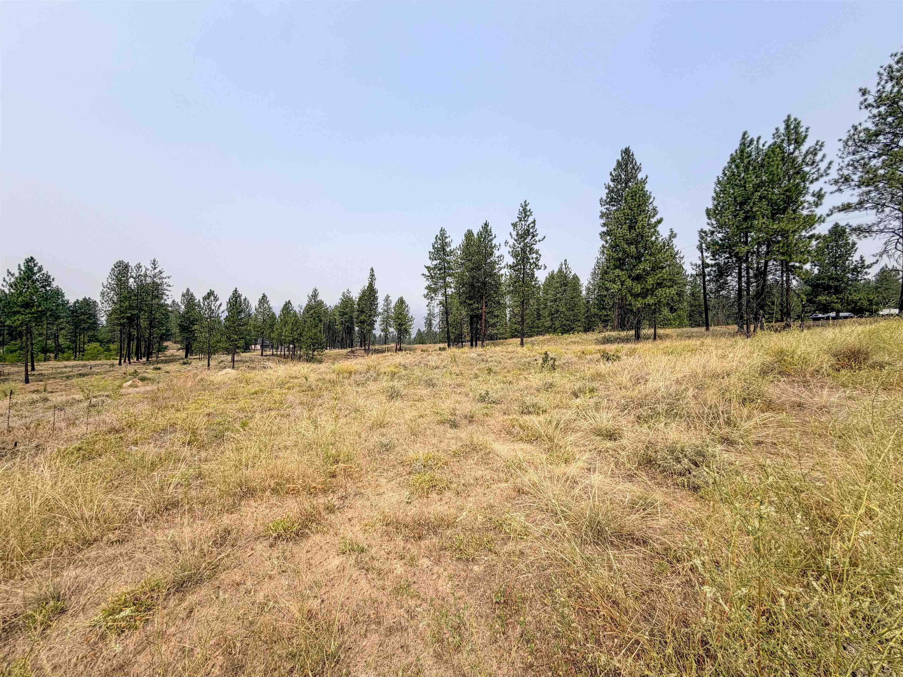 1315 Inez Way - Photo 10