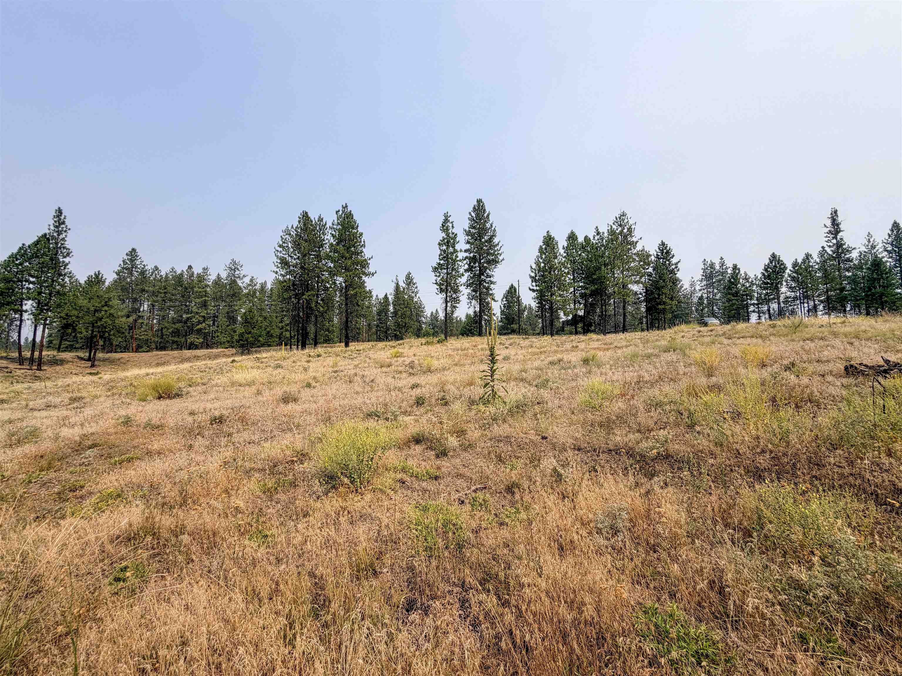 1315 Inez Way - Photo 13