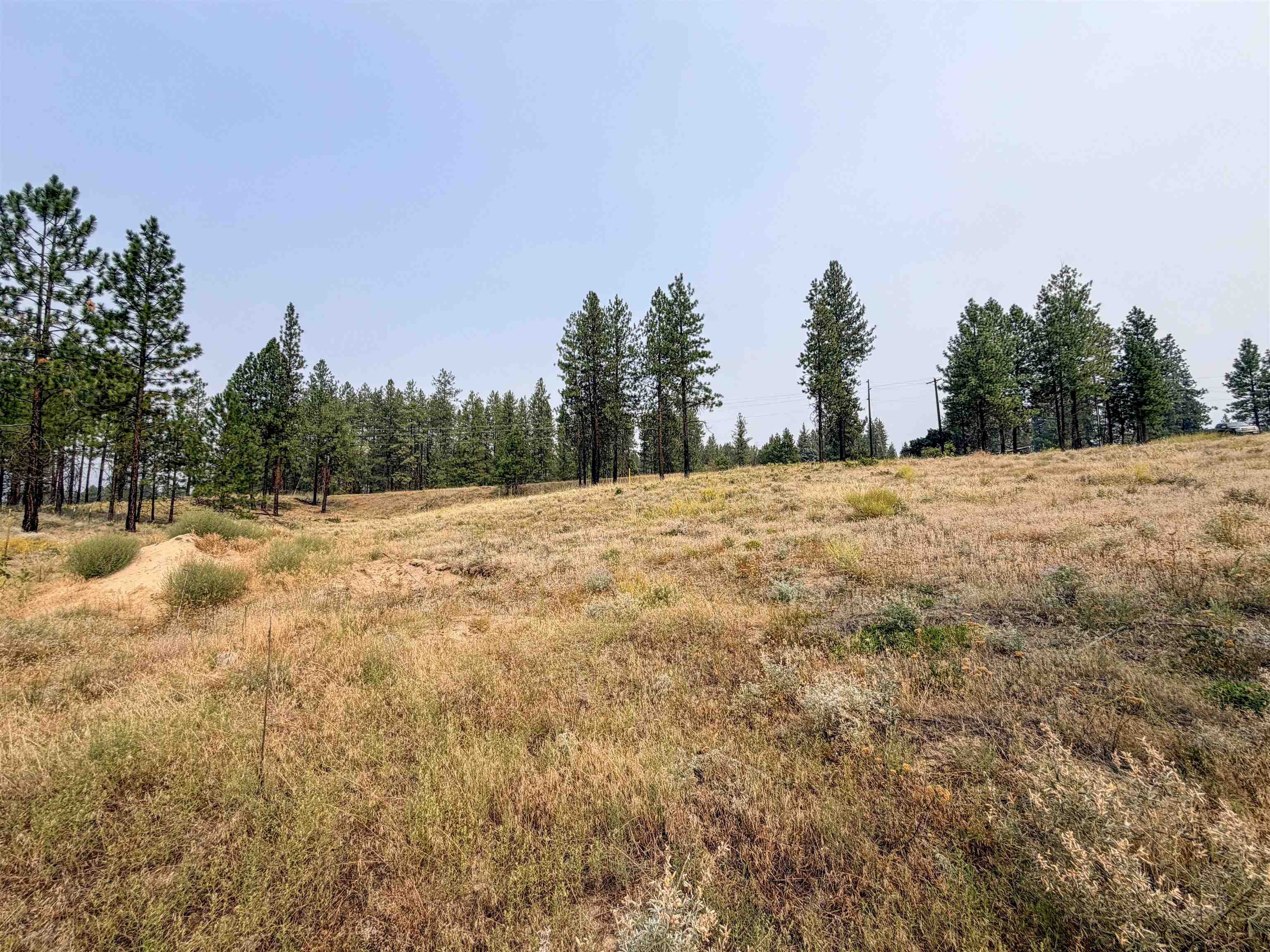 1315 Inez Way - Photo 14