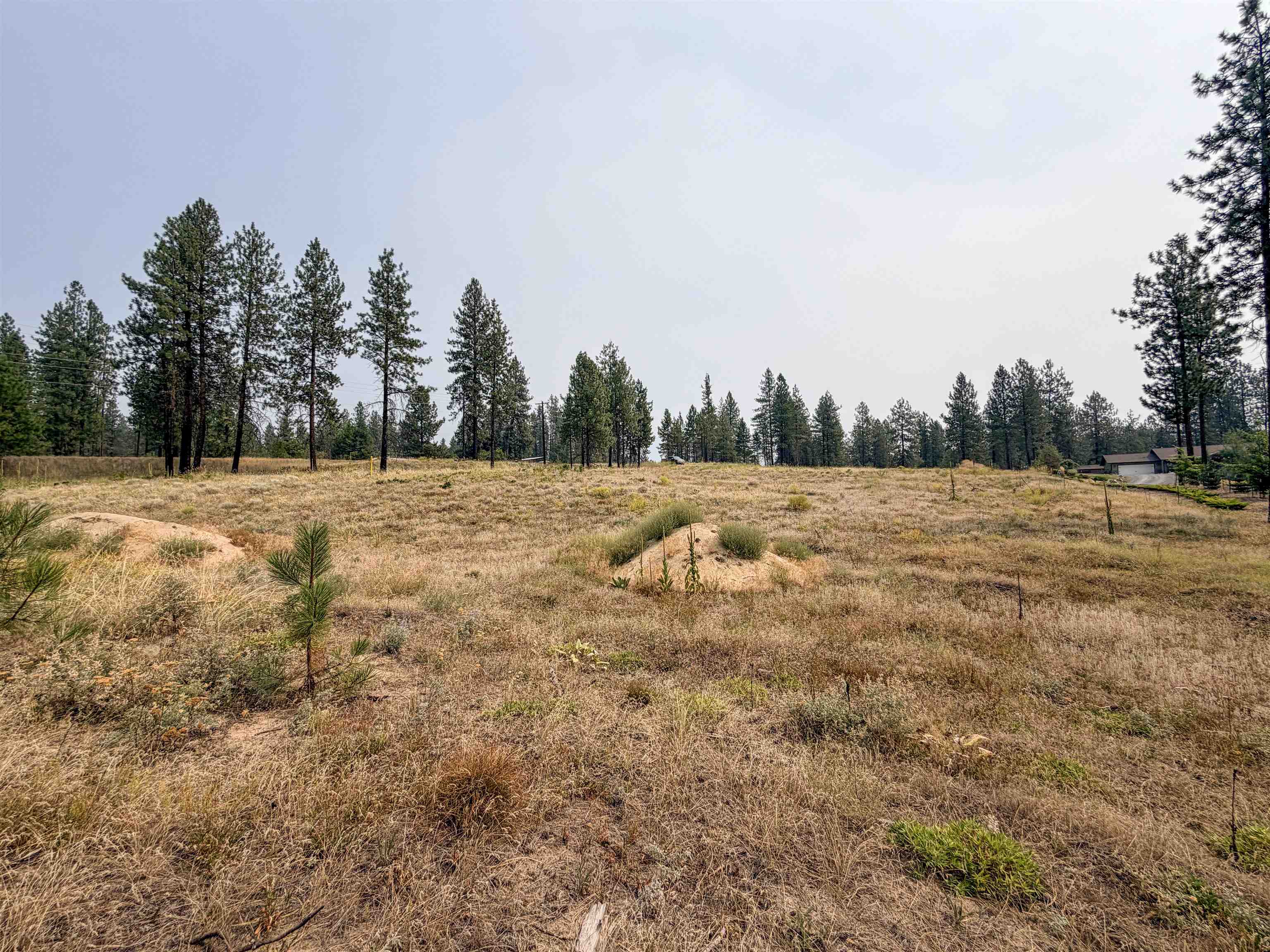 1315 Inez Way - Photo 17