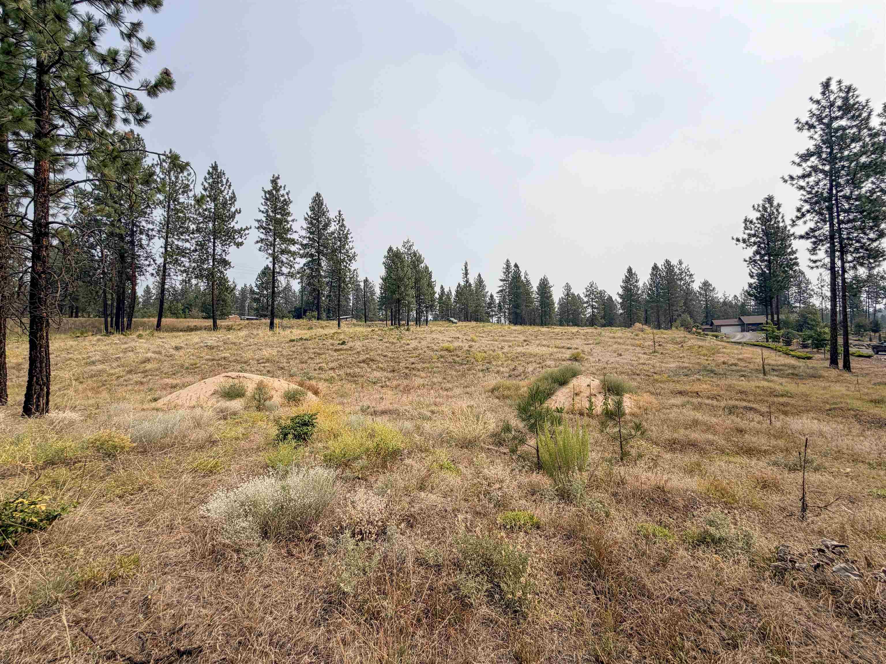1315 Inez Way - Photo 18