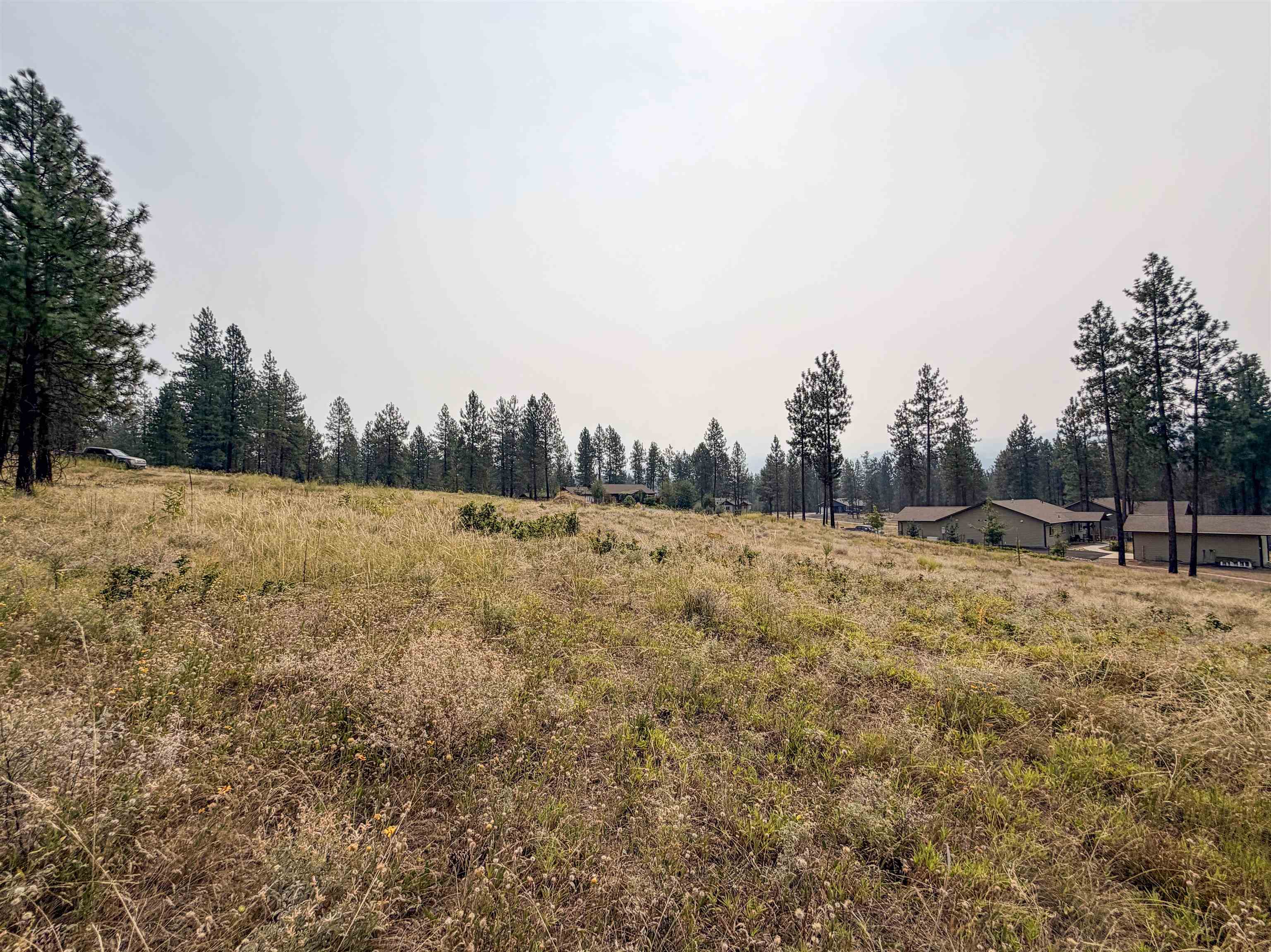 1315 Inez Way - Photo 20