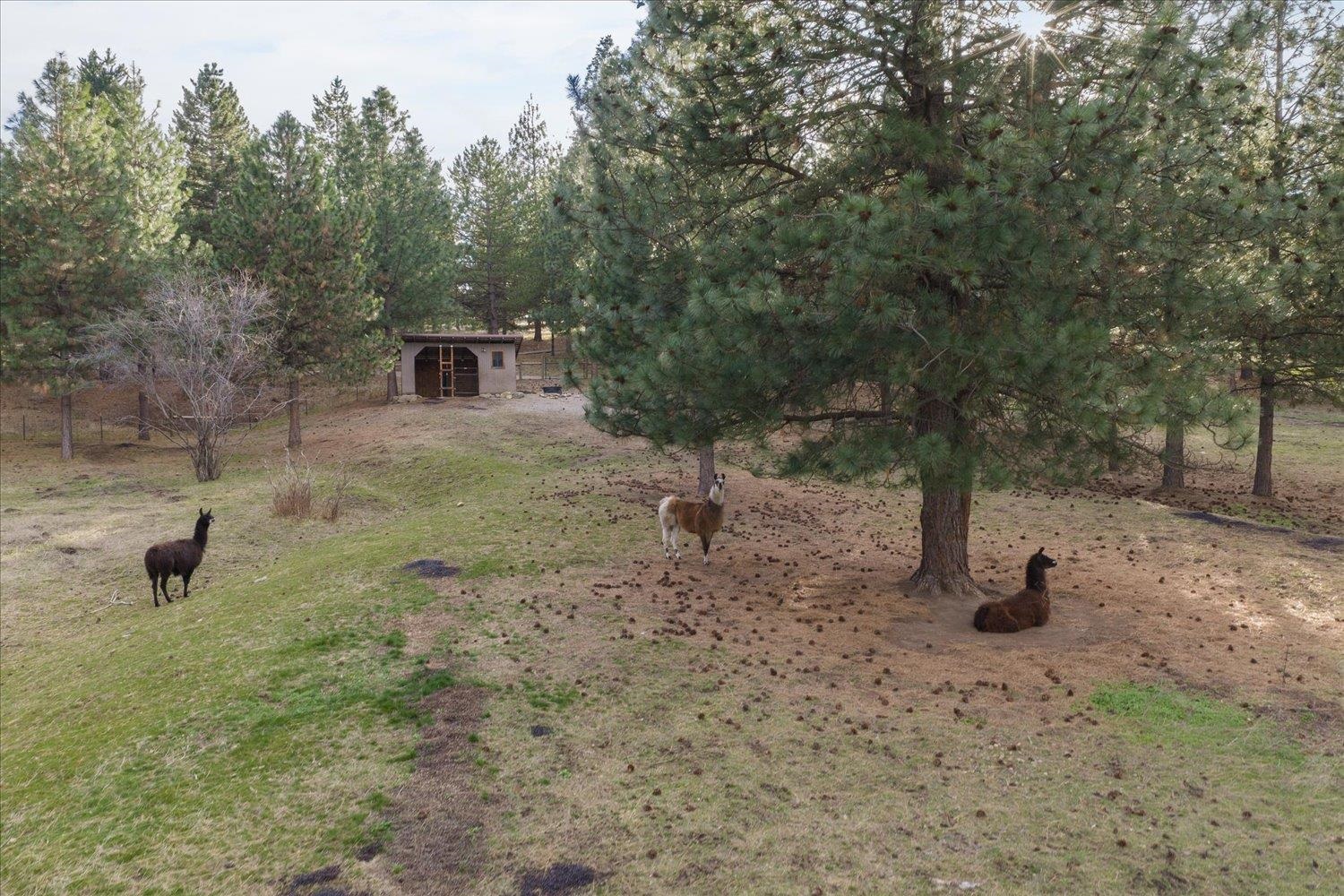2012 S Molter Rd - Photo 48