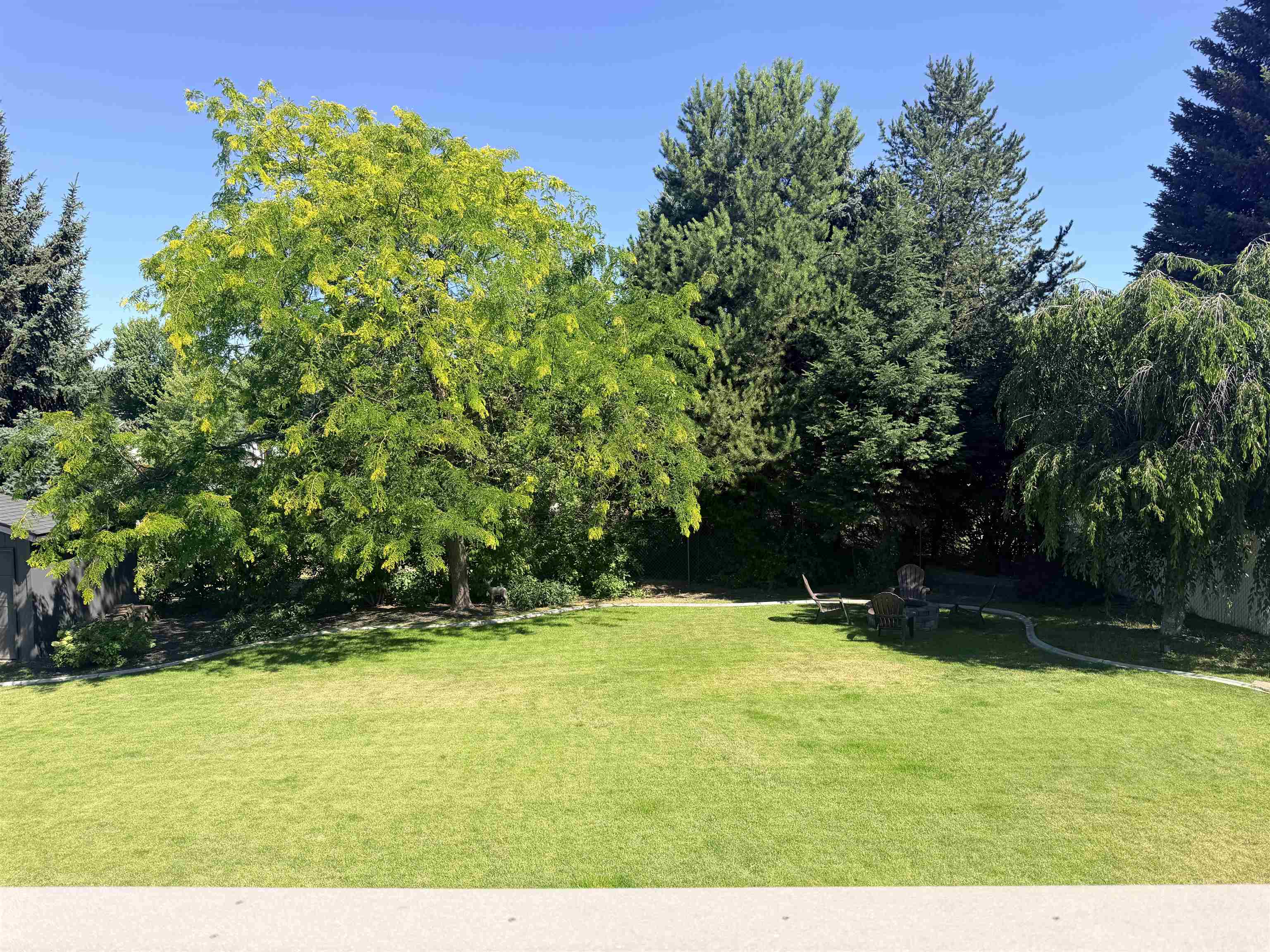 517 E Westcrest Ave - Photo 5