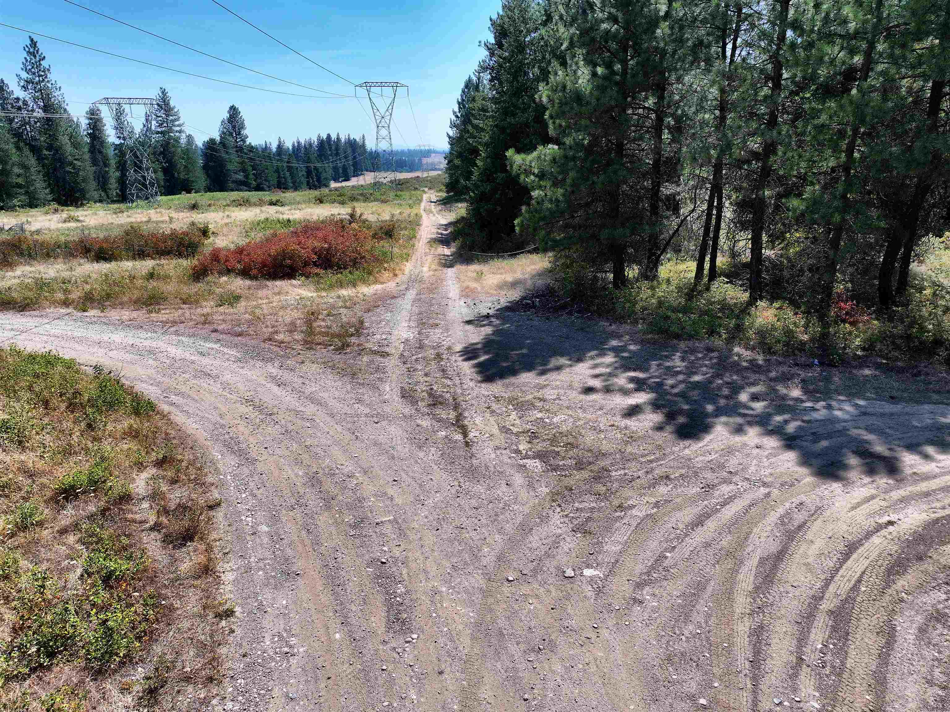 342XX N Waldrons Ln - Photo 13