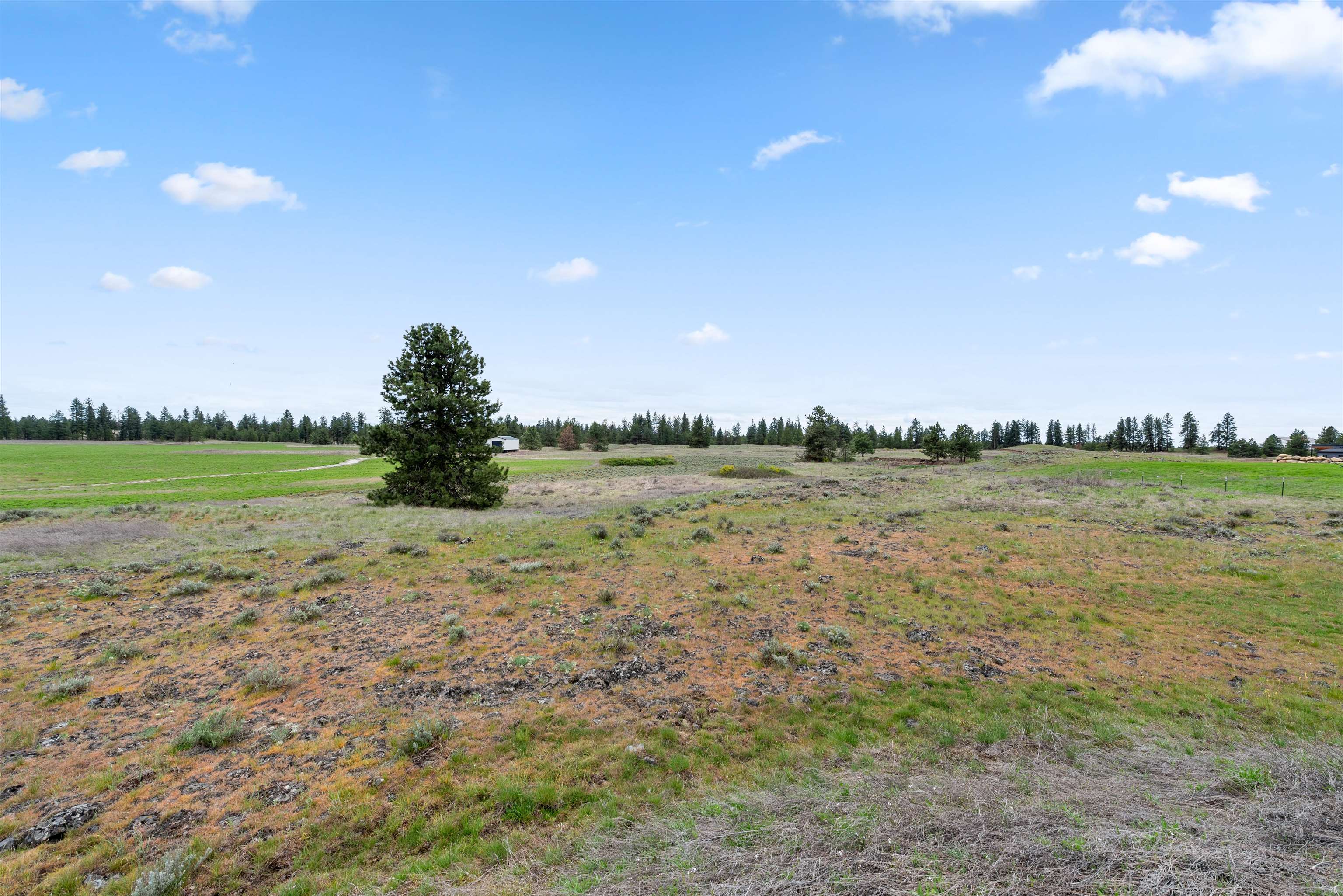 TBD W Craig Rd - Photo 10